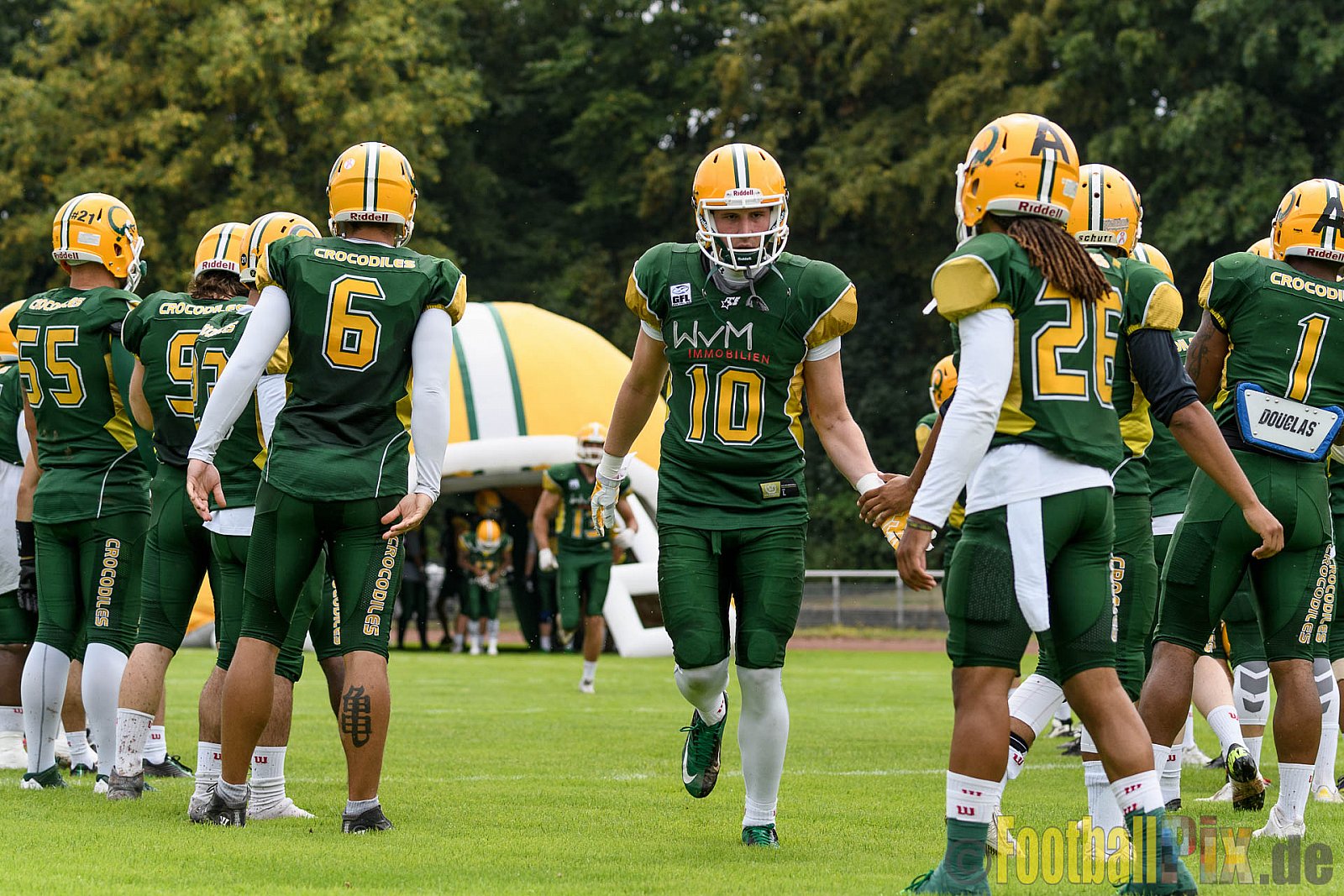 Cologne Crocodiles vs. Essen Assindia Cardinals - 31.07.2016 GFL2: Cologne Crocodiles vs. Essen Assindia Cardinals (43:7)