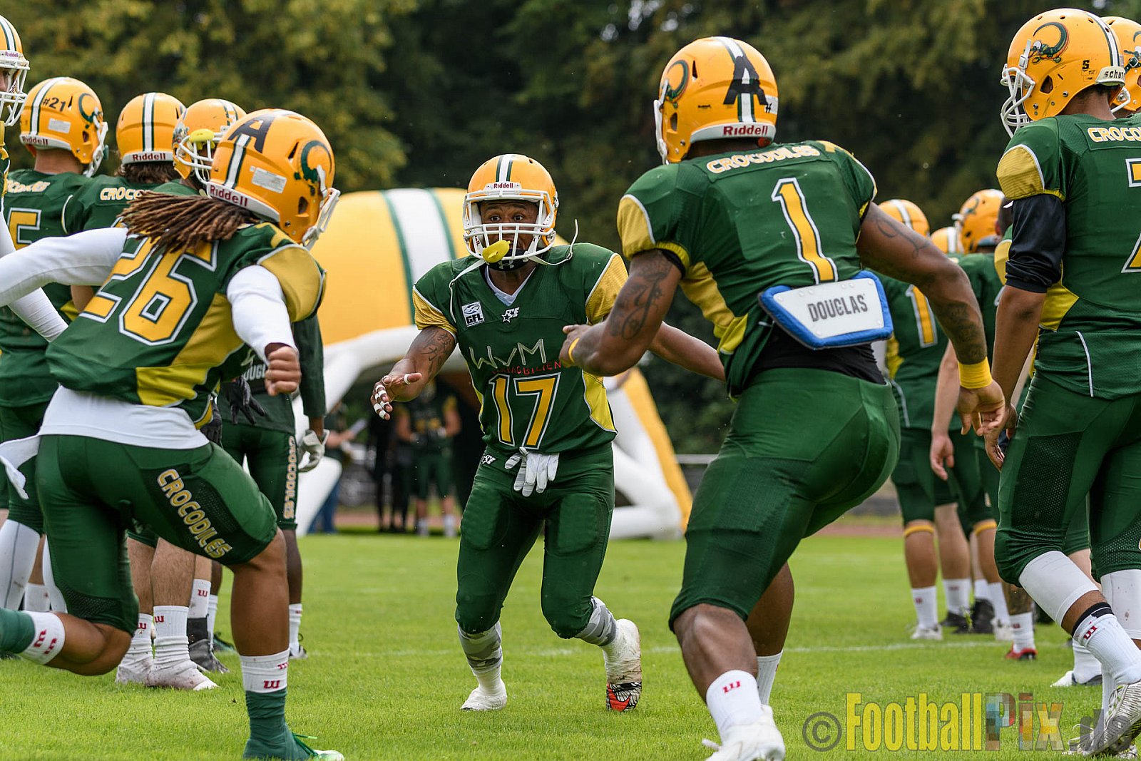 Cologne Crocodiles vs. Essen Assindia Cardinals - 31.07.2016 GFL2: Cologne Crocodiles vs. Essen Assindia Cardinals (43:7)