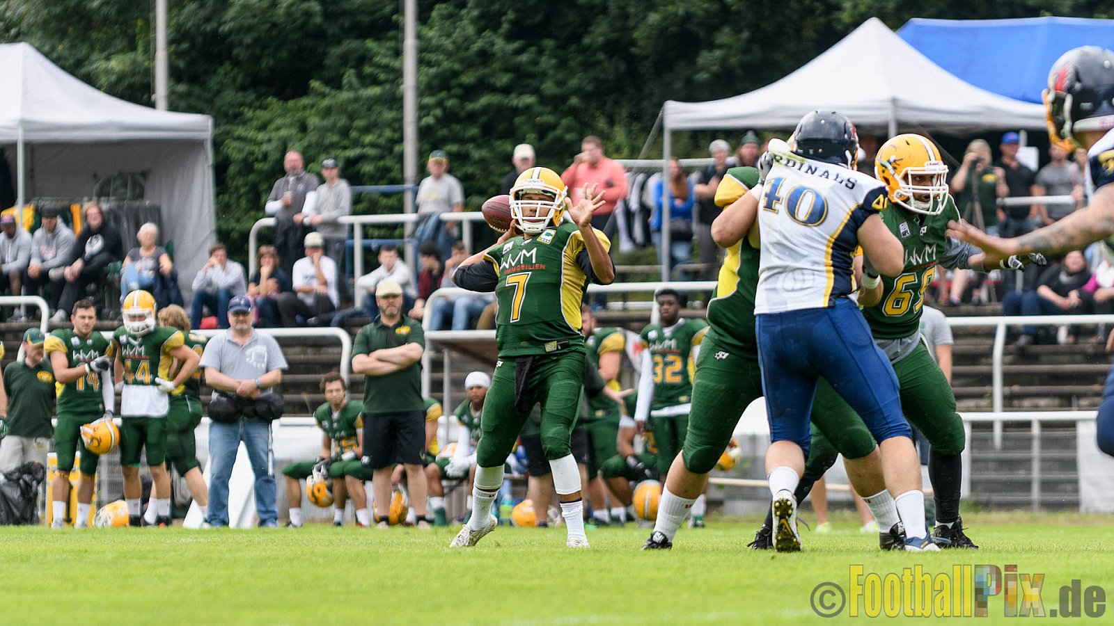 Cologne Crocodiles vs. Essen Assindia Cardinals - 31.07.2016 GFL2: Cologne Crocodiles vs. Essen Assindia Cardinals (43:7)