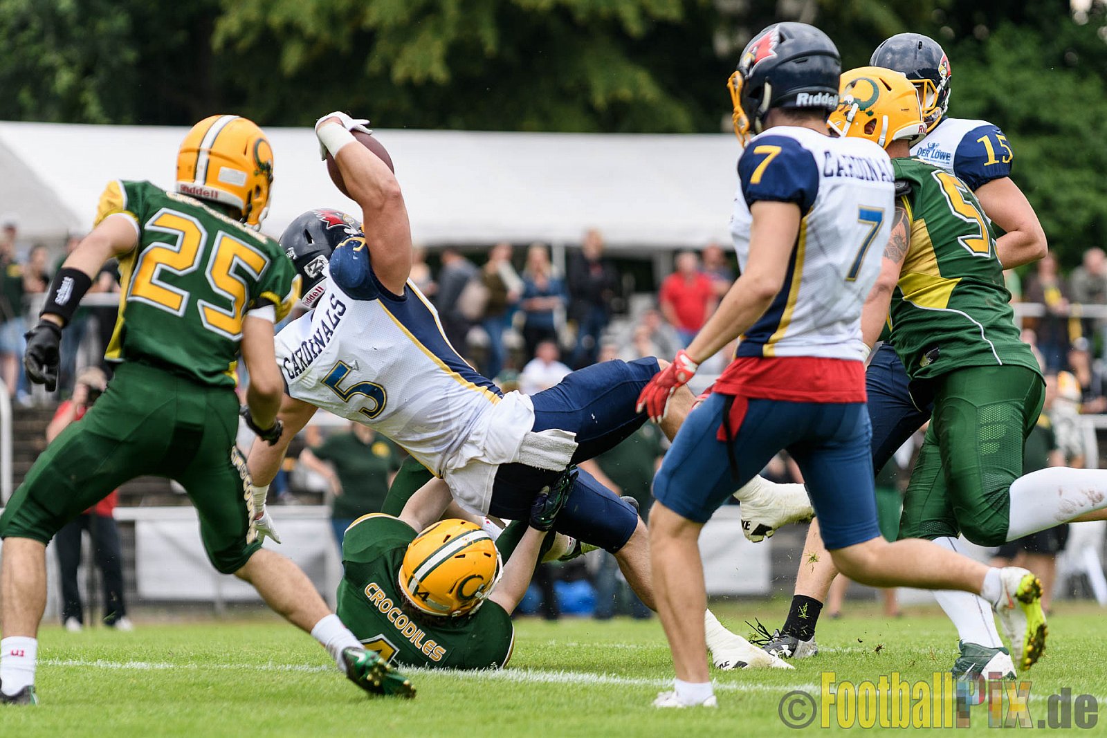 Cologne Crocodiles vs. Essen Assindia Cardinals - 31.07.2016 GFL2: Cologne Crocodiles vs. Essen Assindia Cardinals (43:7)