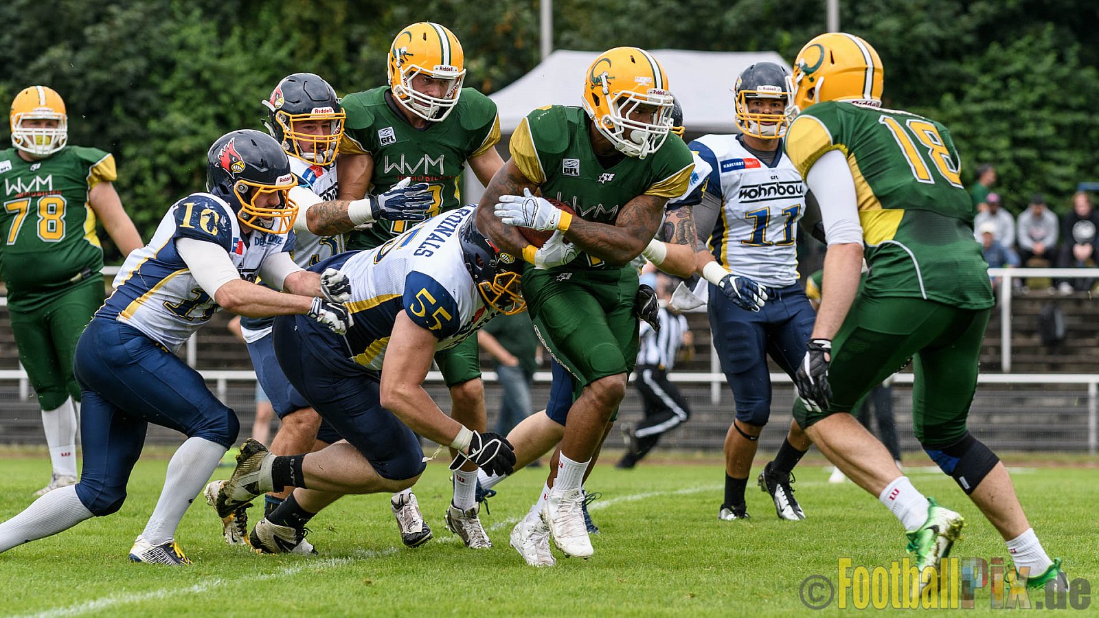 Cologne Crocodiles vs. Essen Assindia Cardinals - 31.07.2016 GFL2: Cologne Crocodiles vs. Essen Assindia Cardinals (43:7)
