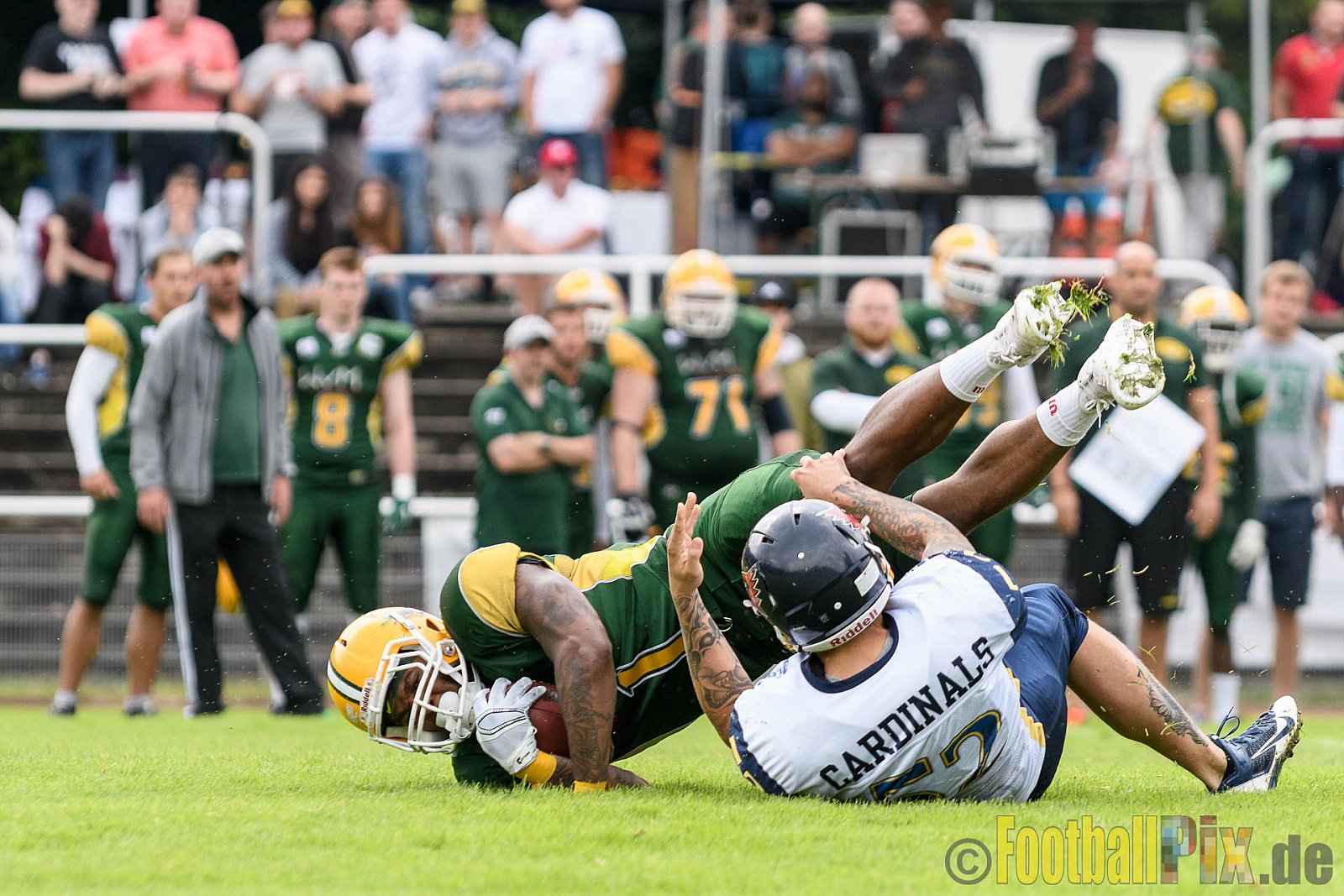 Cologne Crocodiles vs. Essen Assindia Cardinals - 31.07.2016 GFL2: Cologne Crocodiles vs. Essen Assindia Cardinals (43:7)