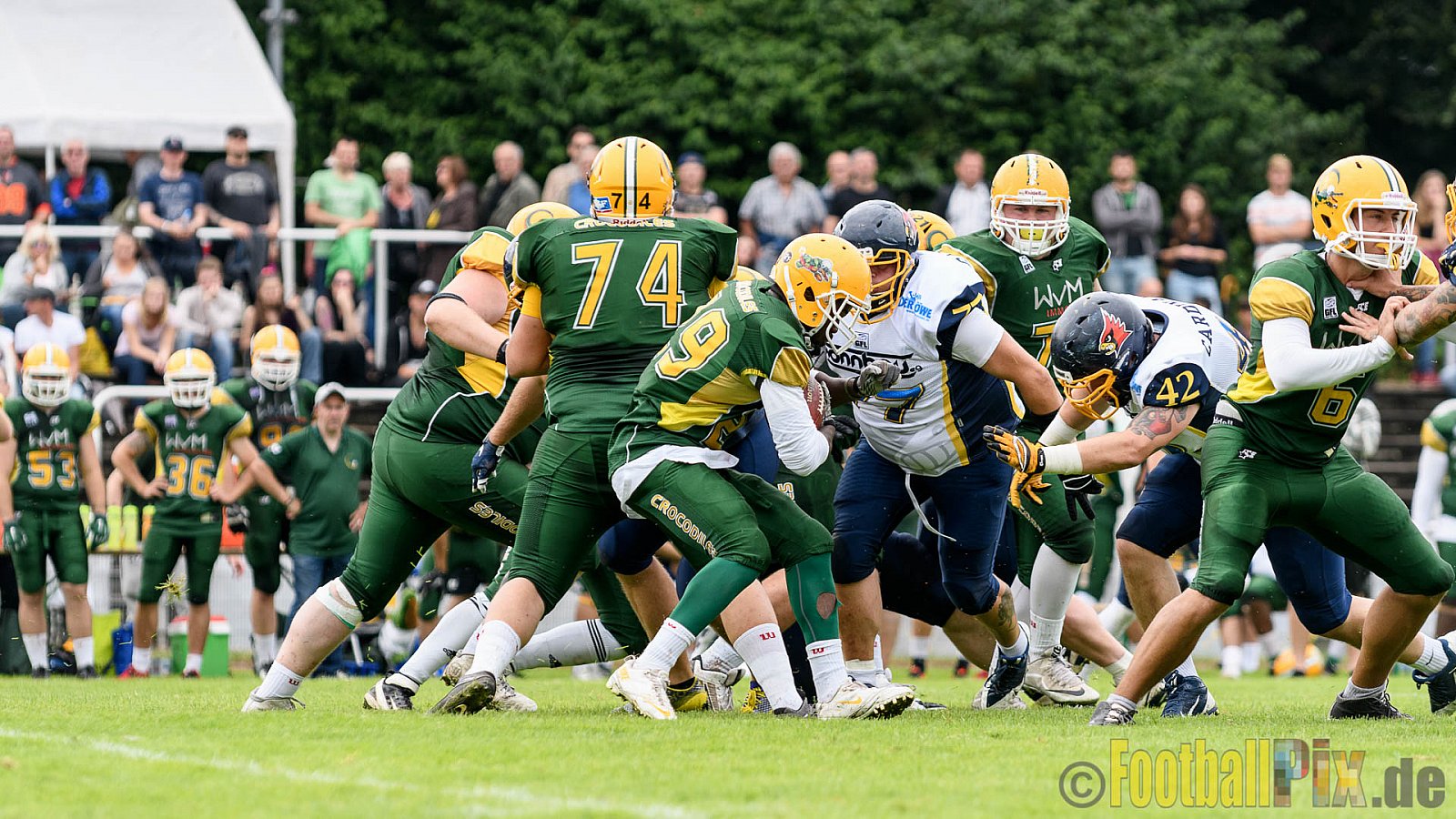 Cologne Crocodiles vs. Essen Assindia Cardinals - 31.07.2016 GFL2: Cologne Crocodiles vs. Essen Assindia Cardinals (43:7)