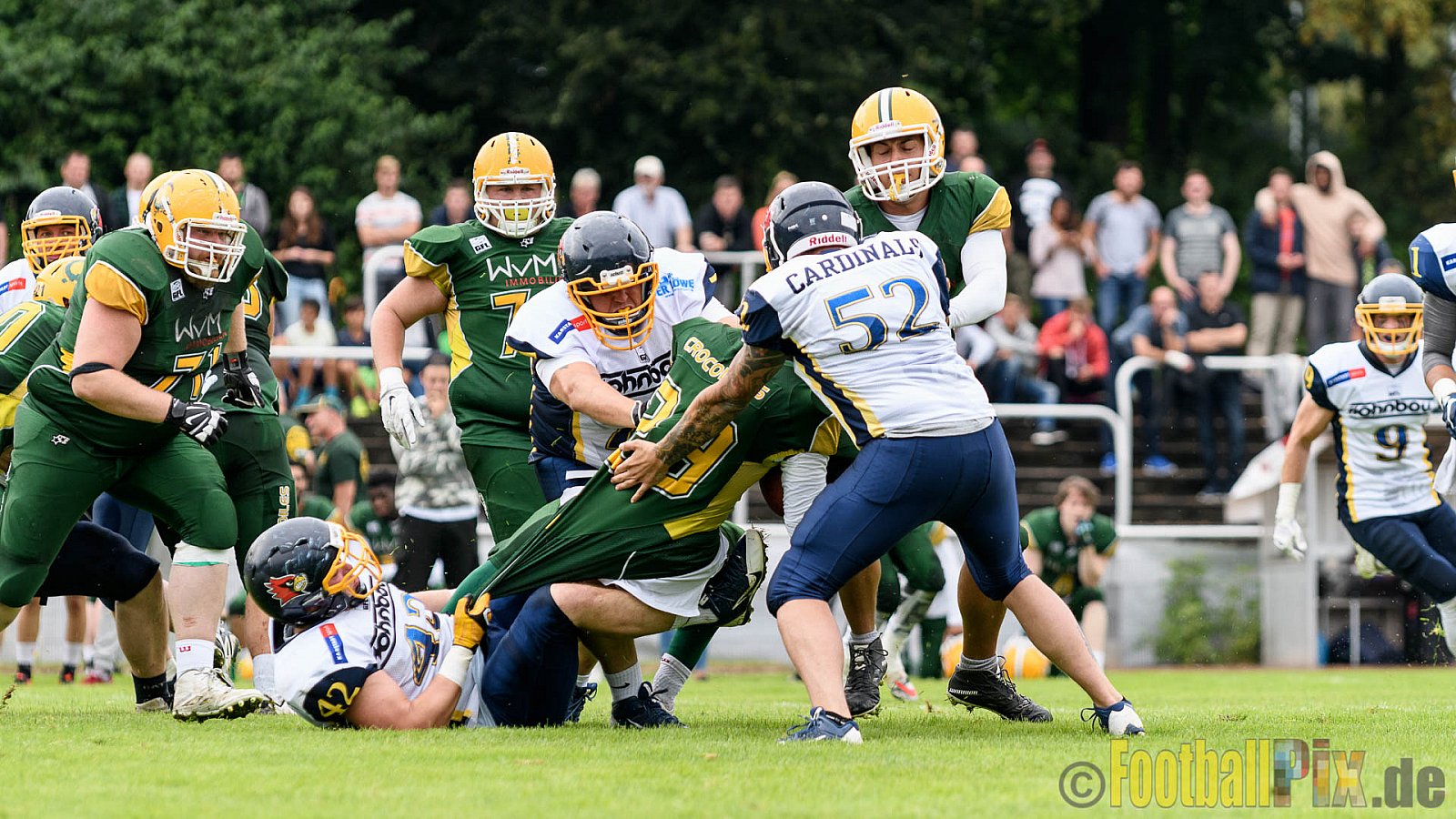 Cologne Crocodiles vs. Essen Assindia Cardinals - 31.07.2016 GFL2: Cologne Crocodiles vs. Essen Assindia Cardinals (43:7)