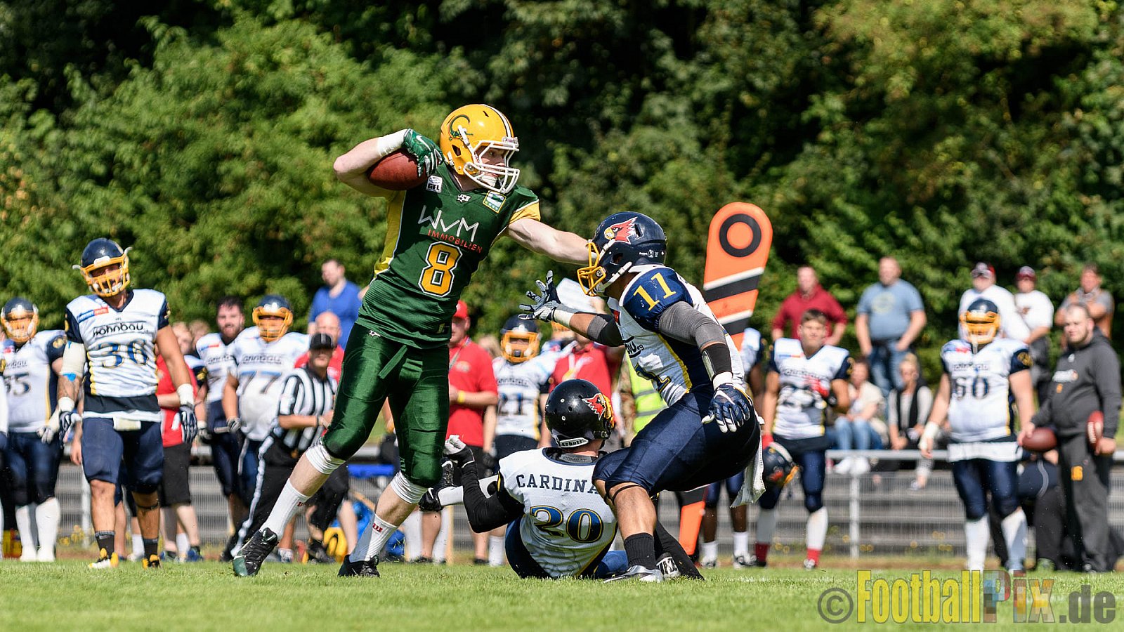 Cologne Crocodiles vs. Essen Assindia Cardinals - 31.07.2016 GFL2: Cologne Crocodiles vs. Essen Assindia Cardinals (43:7)
