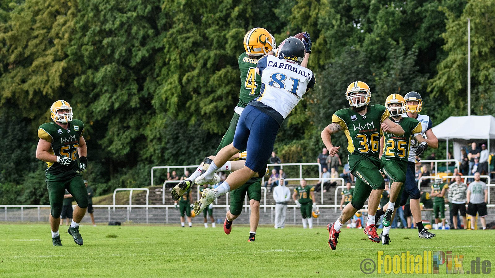 Cologne Crocodiles vs. Essen Assindia Cardinals - 31.07.2016 GFL2: Cologne Crocodiles vs. Essen Assindia Cardinals (43:7)