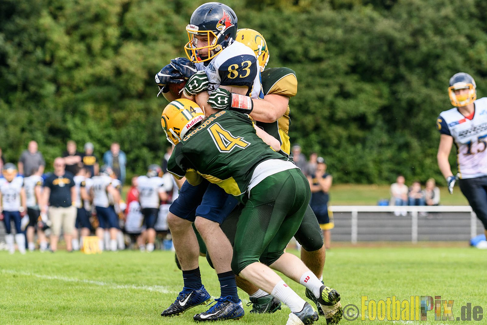 Cologne Crocodiles vs. Essen Assindia Cardinals - 31.07.2016 GFL2: Cologne Crocodiles vs. Essen Assindia Cardinals (43:7)