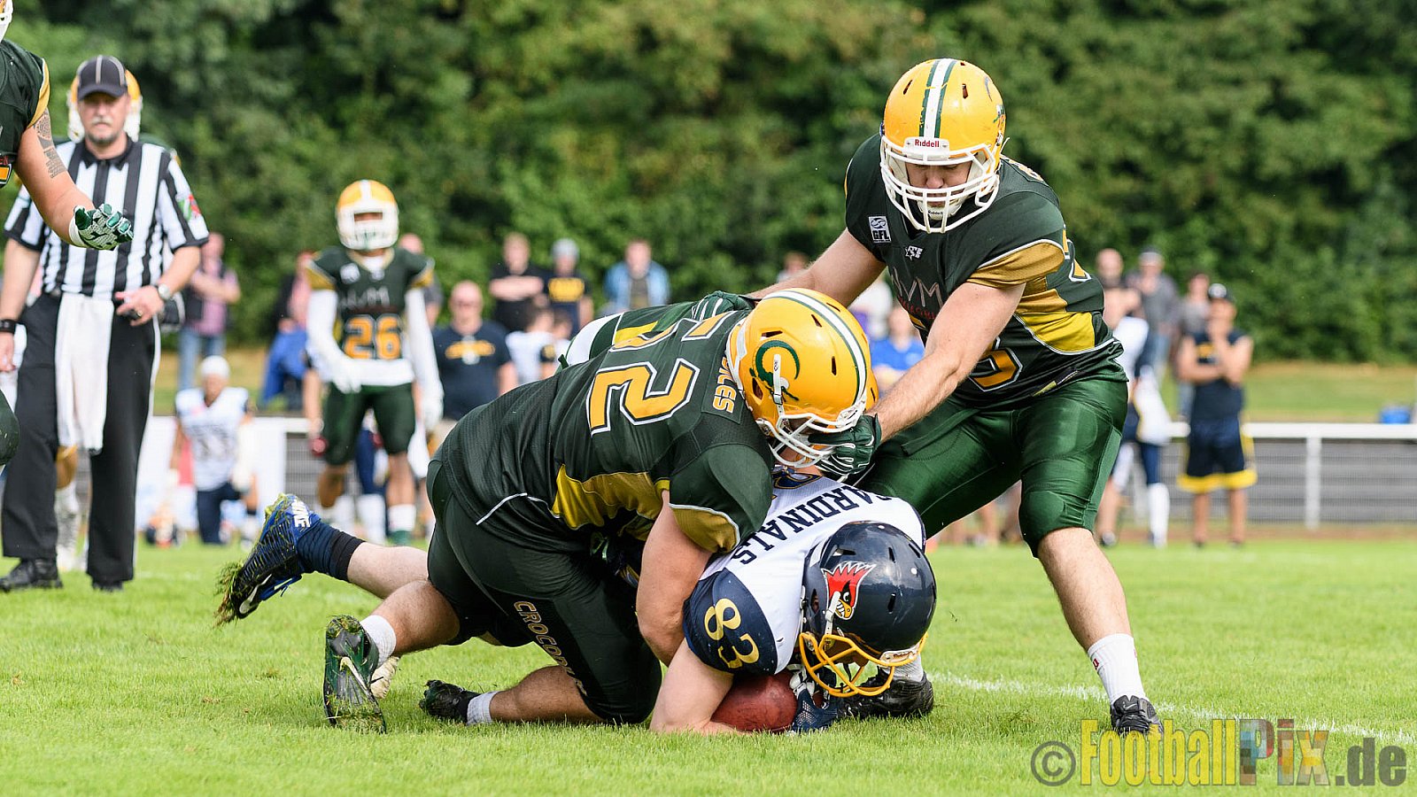 Cologne Crocodiles vs. Essen Assindia Cardinals - 31.07.2016 GFL2: Cologne Crocodiles vs. Essen Assindia Cardinals (43:7)