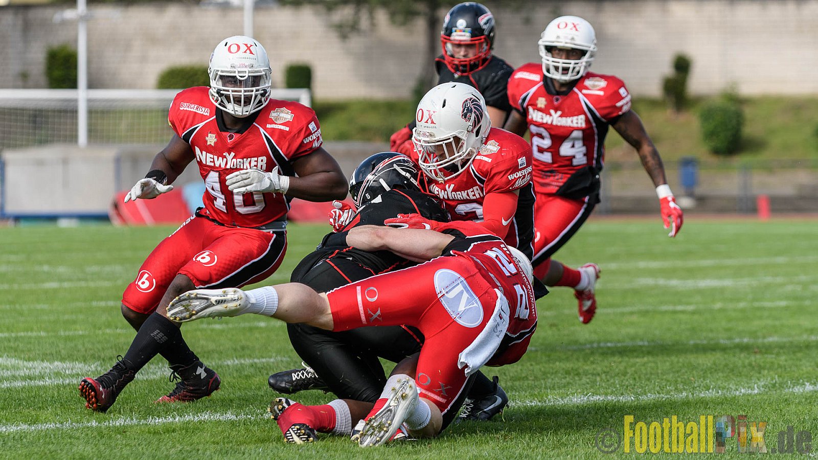 Düsseldorf Panther vs. New Yorker Lions - 06.08.2016 GFL Nord: Düsseldorf Panther vs. New Yorker Lions (10:49)
