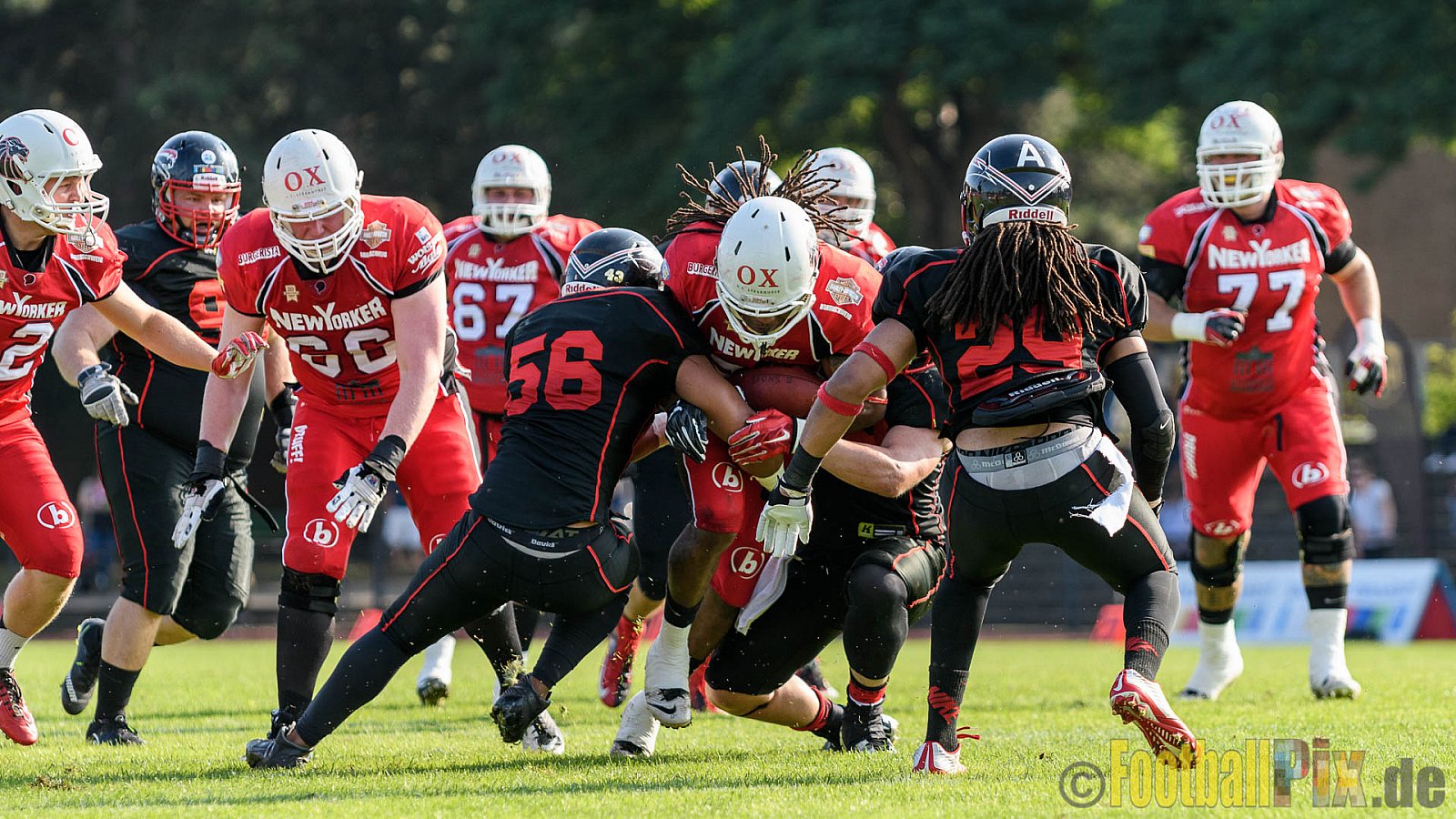 Düsseldorf Panther vs. New Yorker Lions - 06.08.2016 GFL Nord: Düsseldorf Panther vs. New Yorker Lions (10:49)