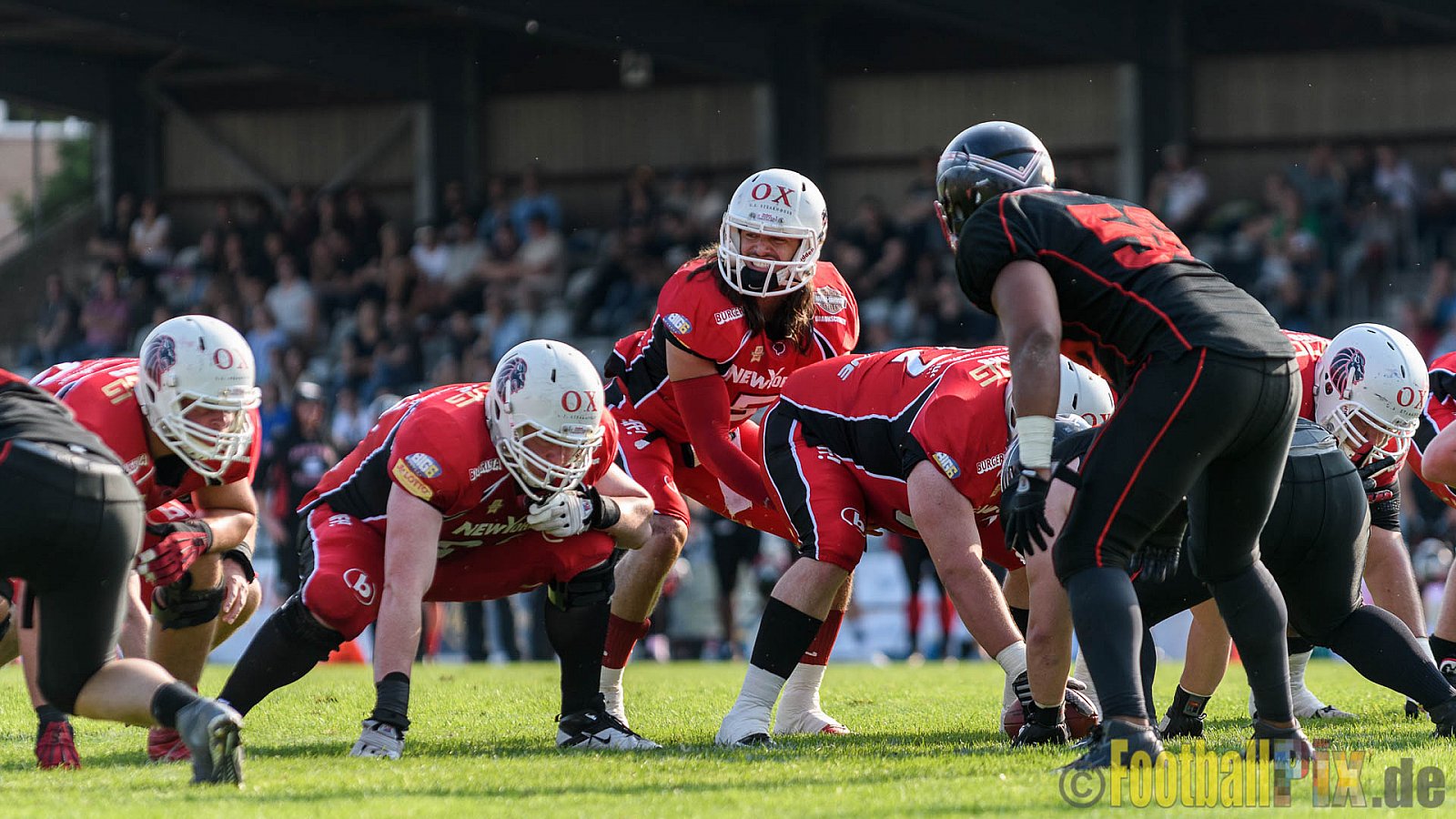 Düsseldorf Panther vs. New Yorker Lions - 06.08.2016 GFL Nord: Düsseldorf Panther vs. New Yorker Lions (10:49)