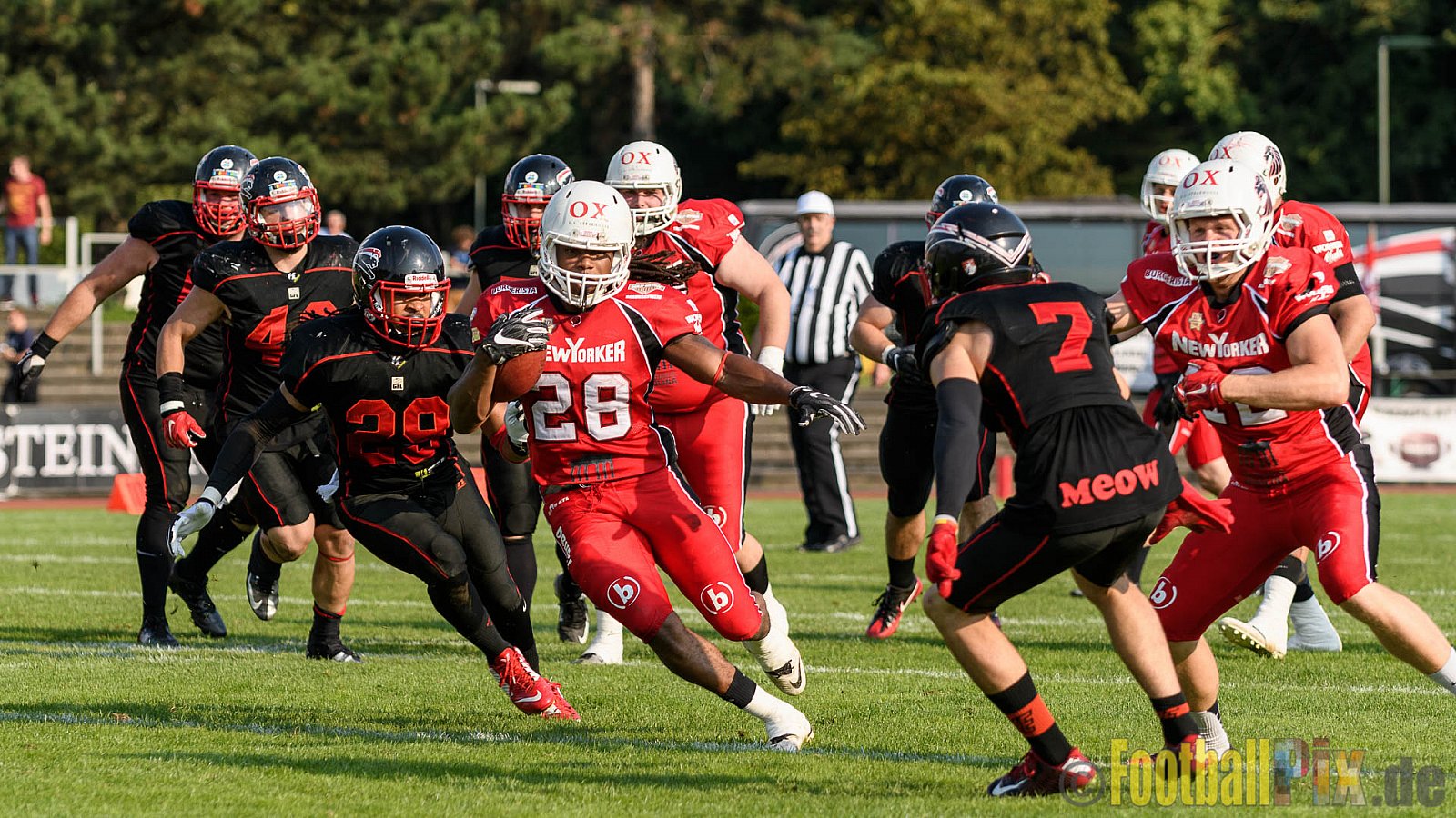 Düsseldorf Panther vs. New Yorker Lions - 06.08.2016 GFL Nord: Düsseldorf Panther vs. New Yorker Lions (10:49)
