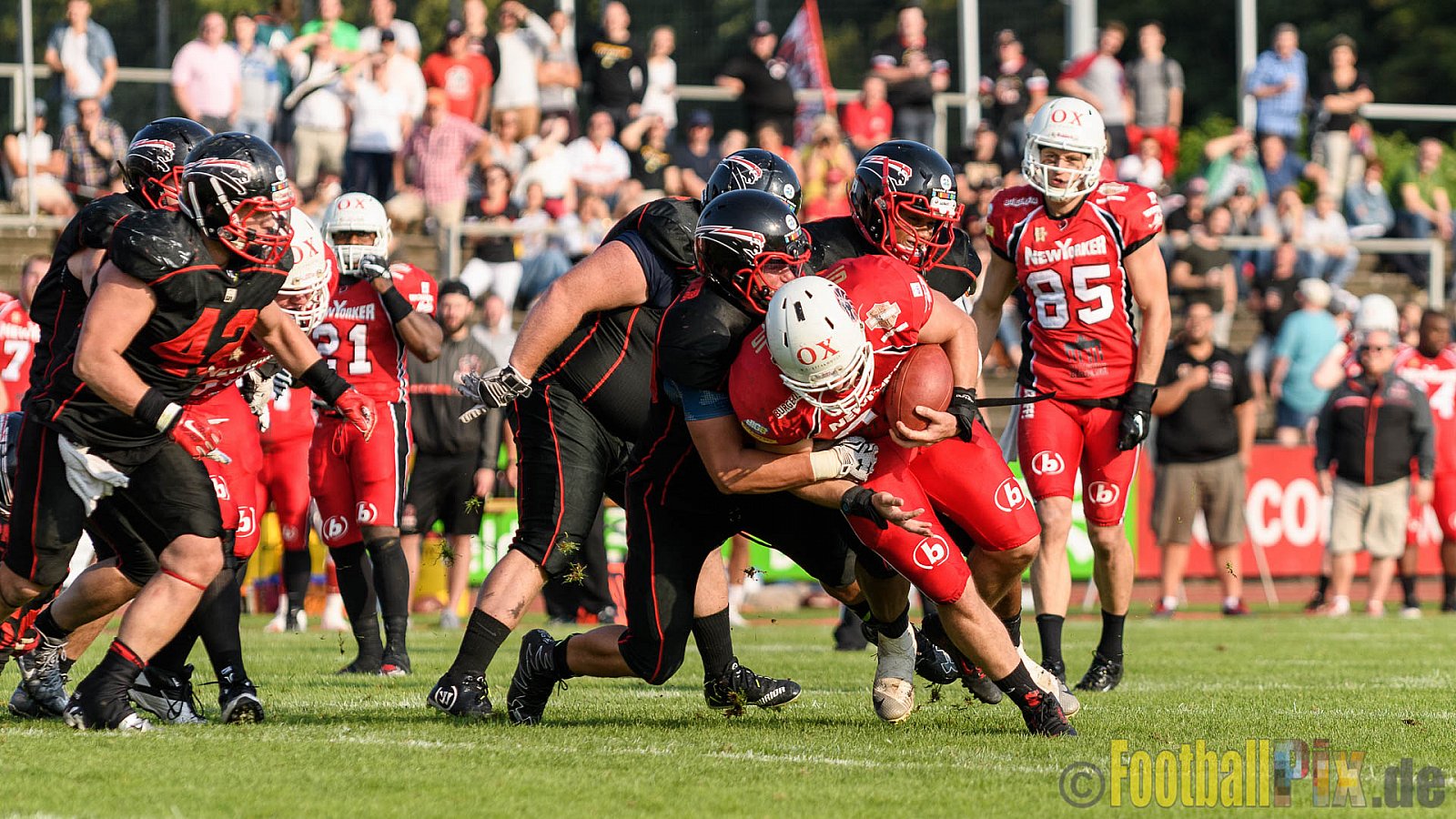 Düsseldorf Panther vs. New Yorker Lions - 06.08.2016 GFL Nord: Düsseldorf Panther vs. New Yorker Lions (10:49)
