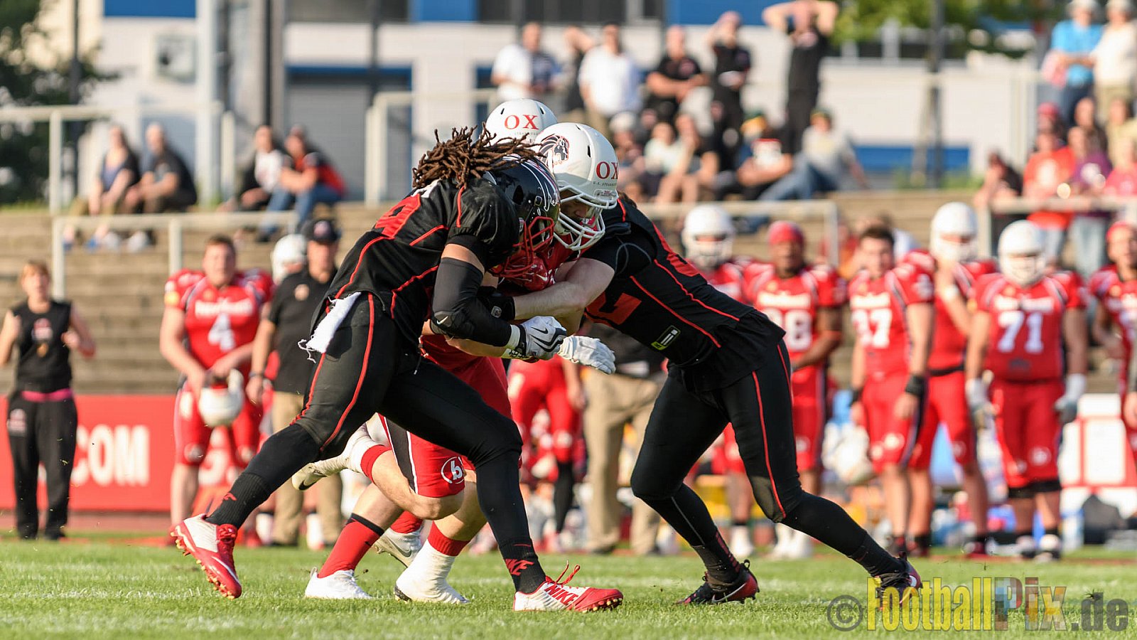 Düsseldorf Panther vs. New Yorker Lions - 06.08.2016 GFL Nord: Düsseldorf Panther vs. New Yorker Lions (10:49)