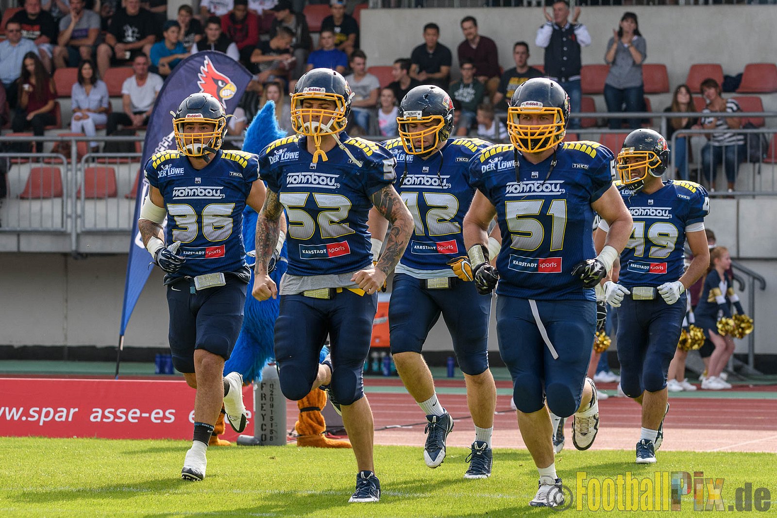 Essen Assindia Cardinals vs. Bielefeld Bulldogs - 13.08.2016 GFL2: Essen Assindia Cardinals vs. Bielefeld Bulldogs (49:6)