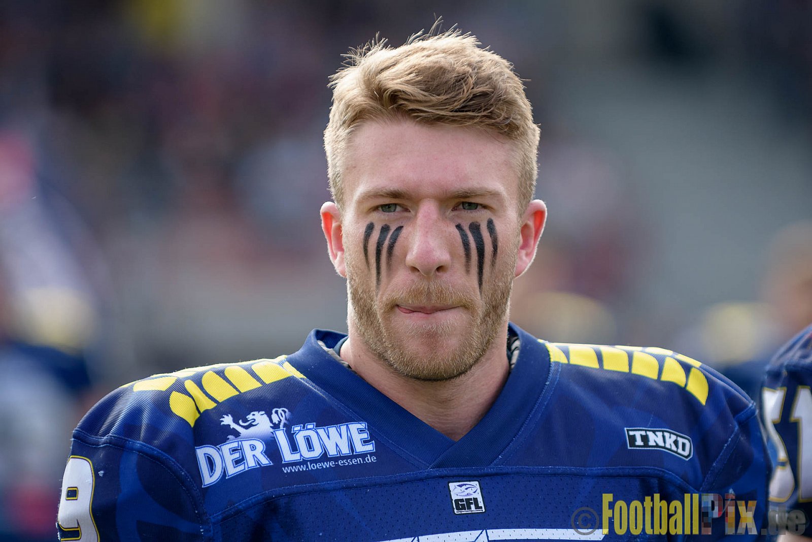 Essen Assindia Cardinals vs. Bielefeld Bulldogs - 13.08.2016 GFL2: Essen Assindia Cardinals vs. Bielefeld Bulldogs (49:6)