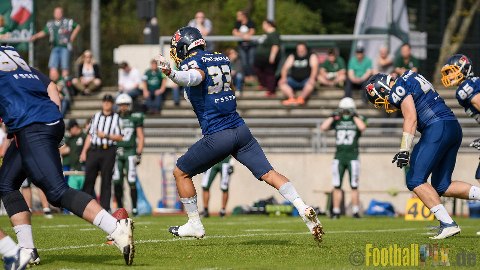 Essen Assindia Cardinals vs. Bielefeld Bulldogs - 13.08.2016 GFL2: Essen Assindia Cardinals vs. Bielefeld Bulldogs (49:6)