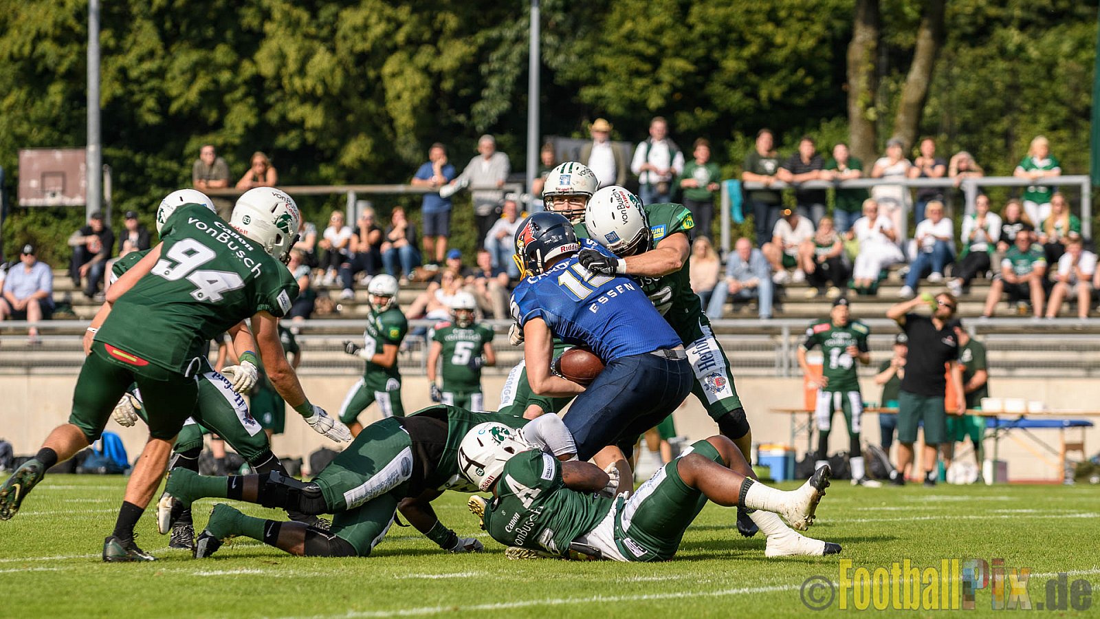 Essen Assindia Cardinals vs. Bielefeld Bulldogs - 13.08.2016 GFL2: Essen Assindia Cardinals vs. Bielefeld Bulldogs (49:6)