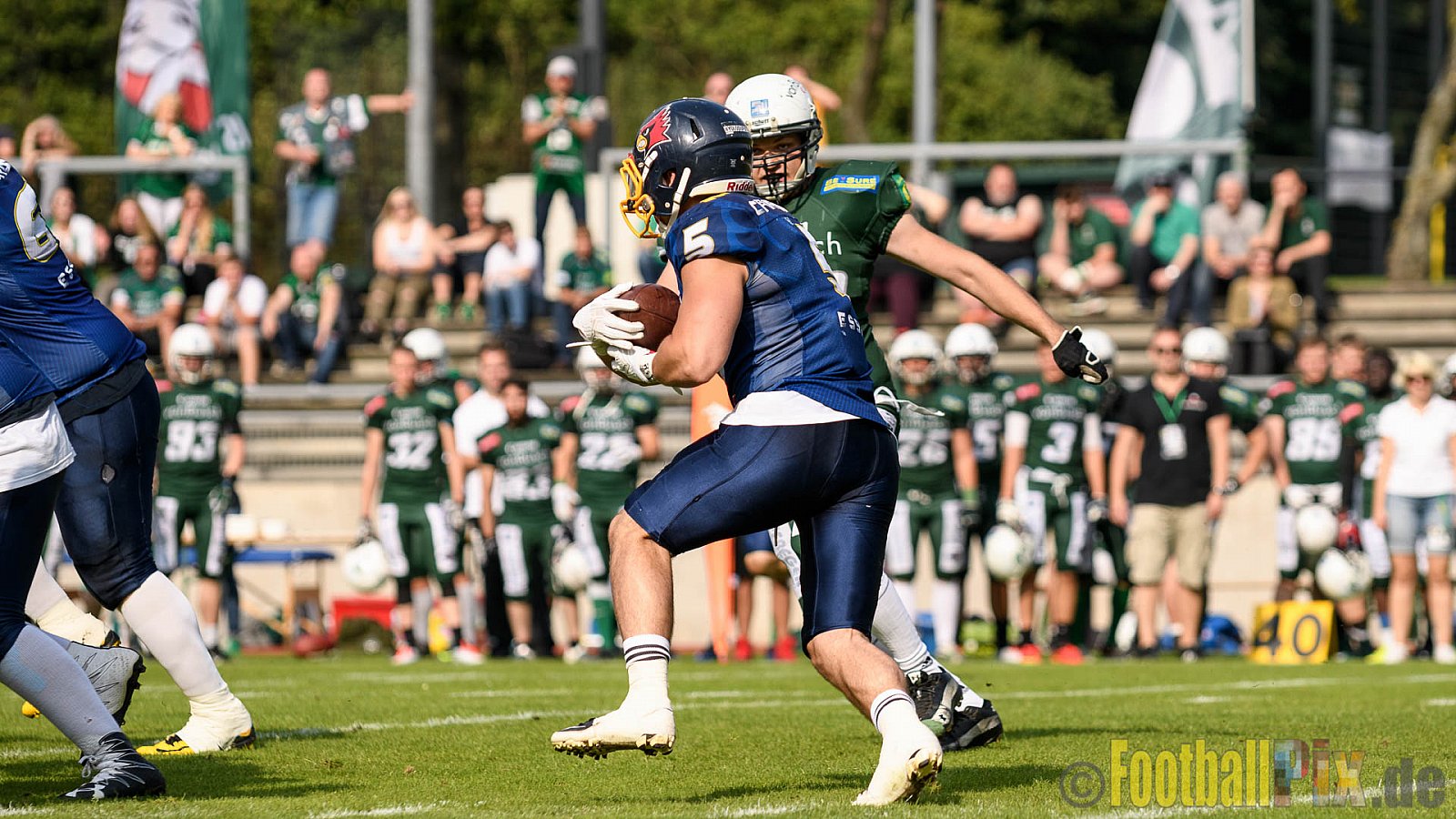 Essen Assindia Cardinals vs. Bielefeld Bulldogs - 13.08.2016 GFL2: Essen Assindia Cardinals vs. Bielefeld Bulldogs (49:6)