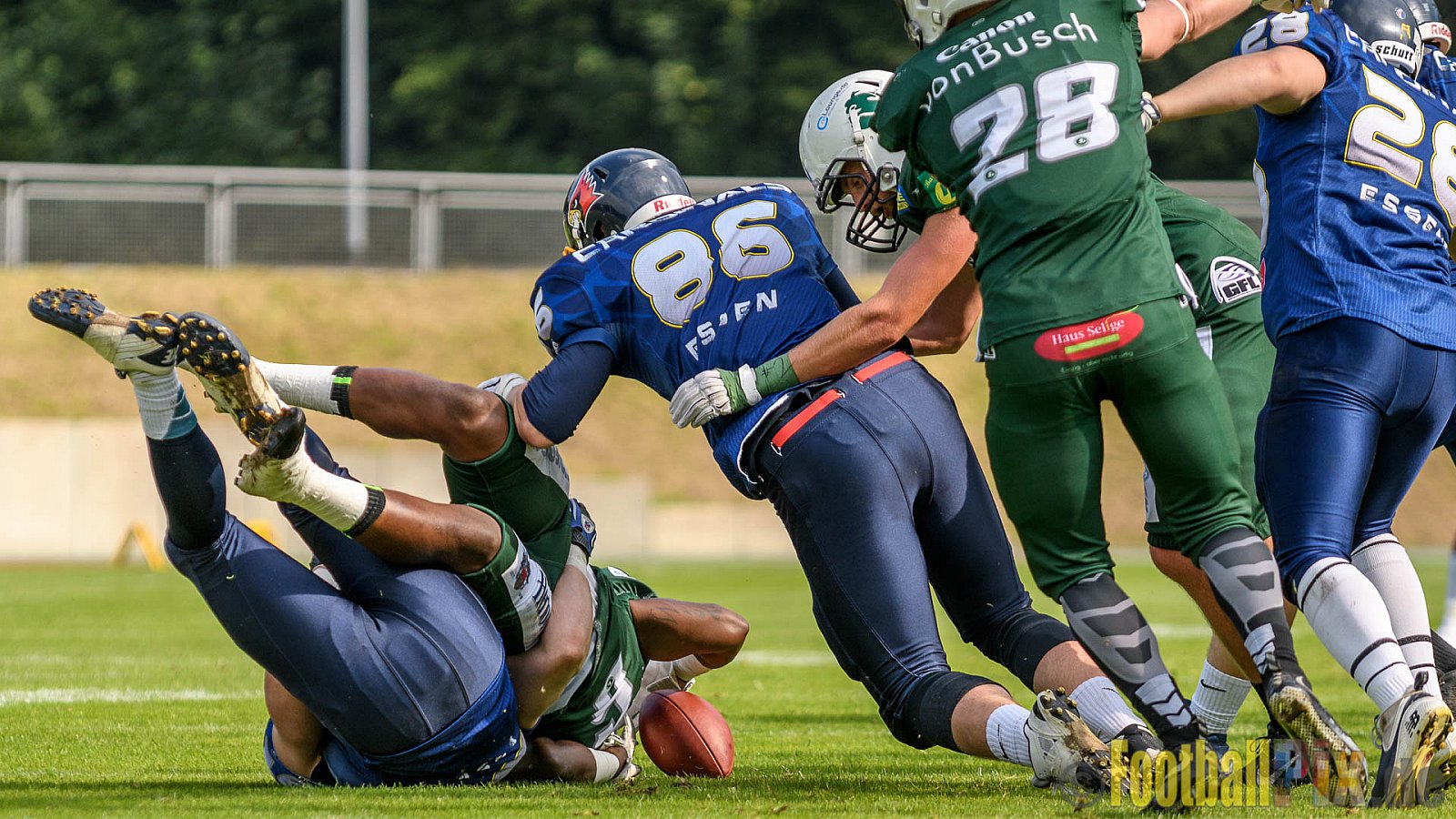 Essen Assindia Cardinals vs. Bielefeld Bulldogs - 13.08.2016 GFL2: Essen Assindia Cardinals vs. Bielefeld Bulldogs (49:6)