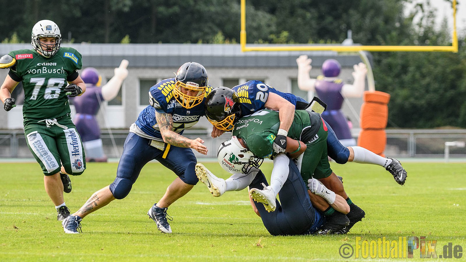 Essen Assindia Cardinals vs. Bielefeld Bulldogs - 13.08.2016 GFL2: Essen Assindia Cardinals vs. Bielefeld Bulldogs (49:6)
