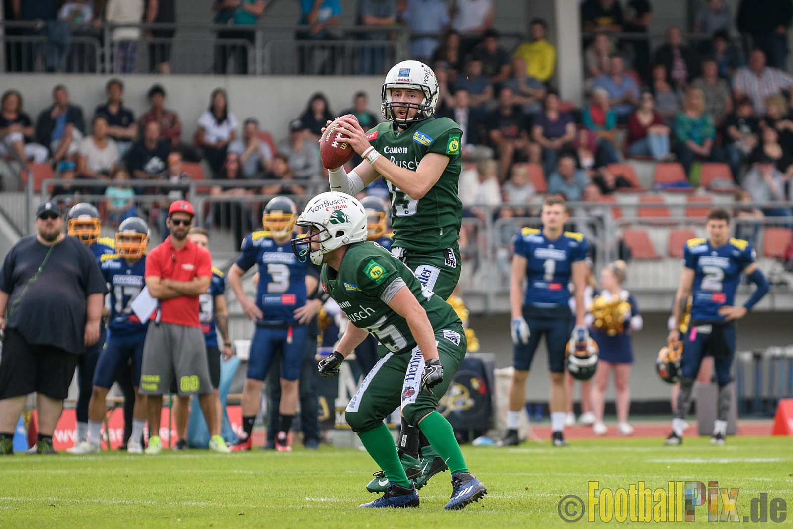 Essen Assindia Cardinals vs. Bielefeld Bulldogs - 13.08.2016 GFL2: Essen Assindia Cardinals vs. Bielefeld Bulldogs (49:6)