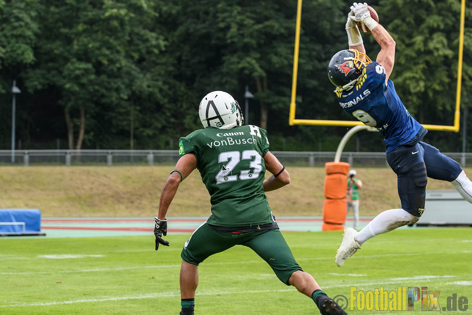 Essen Assindia Cardinals vs. Bielefeld Bulldogs - 13.08.2016 GFL2: Essen Assindia Cardinals vs. Bielefeld Bulldogs (49:6)