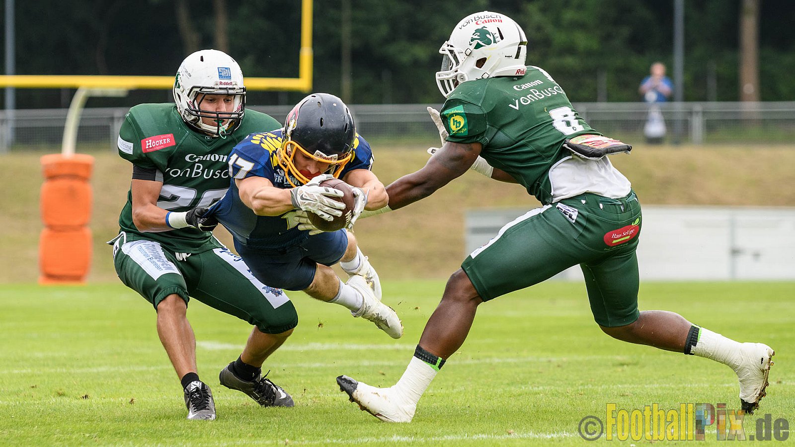 Essen Assindia Cardinals vs. Bielefeld Bulldogs - 13.08.2016 GFL2: Essen Assindia Cardinals vs. Bielefeld Bulldogs (49:6)