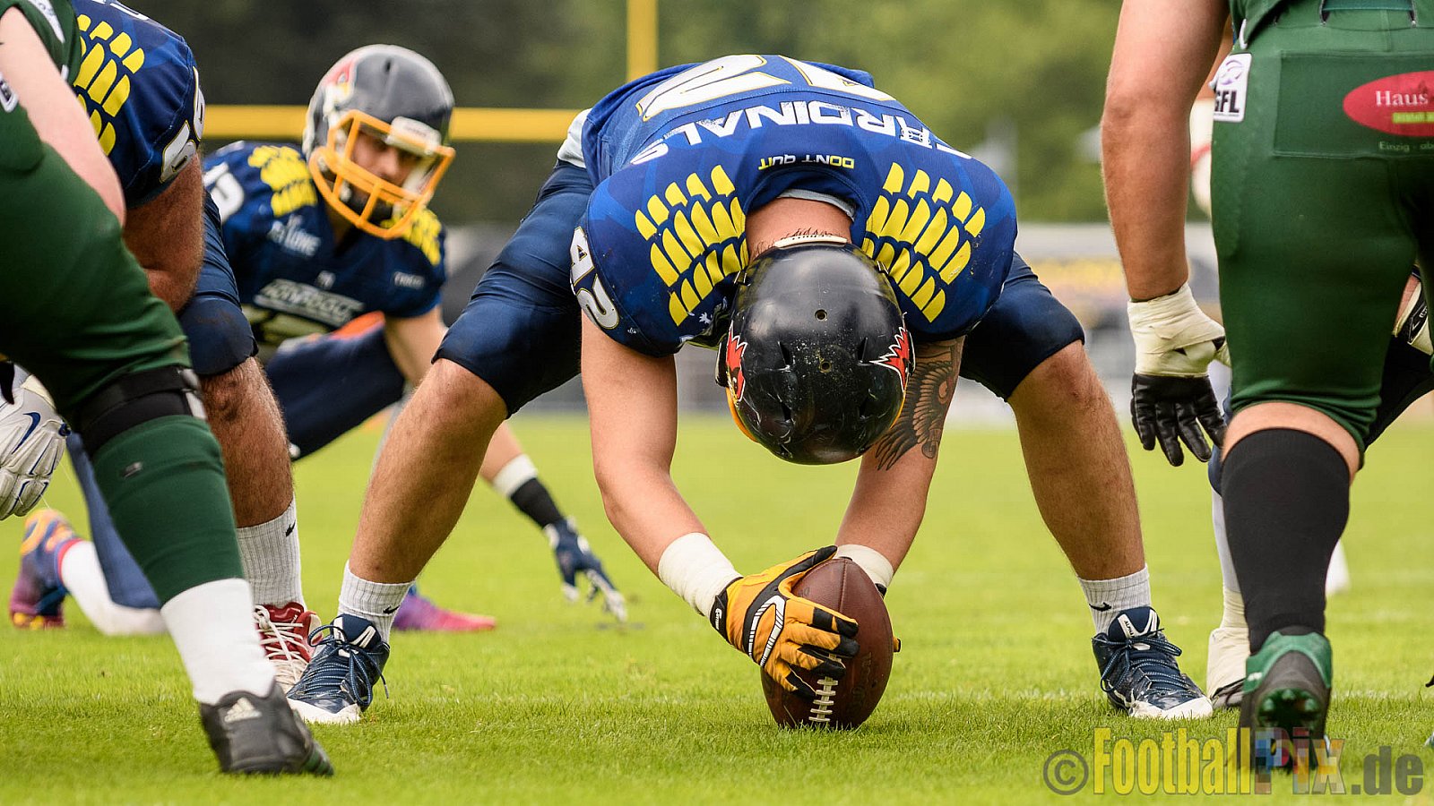 Essen Assindia Cardinals vs. Bielefeld Bulldogs - 13.08.2016 GFL2: Essen Assindia Cardinals vs. Bielefeld Bulldogs (49:6)