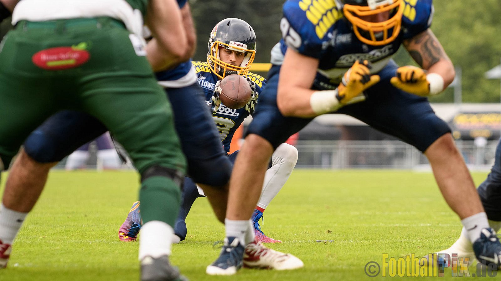 Essen Assindia Cardinals vs. Bielefeld Bulldogs - 13.08.2016 GFL2: Essen Assindia Cardinals vs. Bielefeld Bulldogs (49:6)