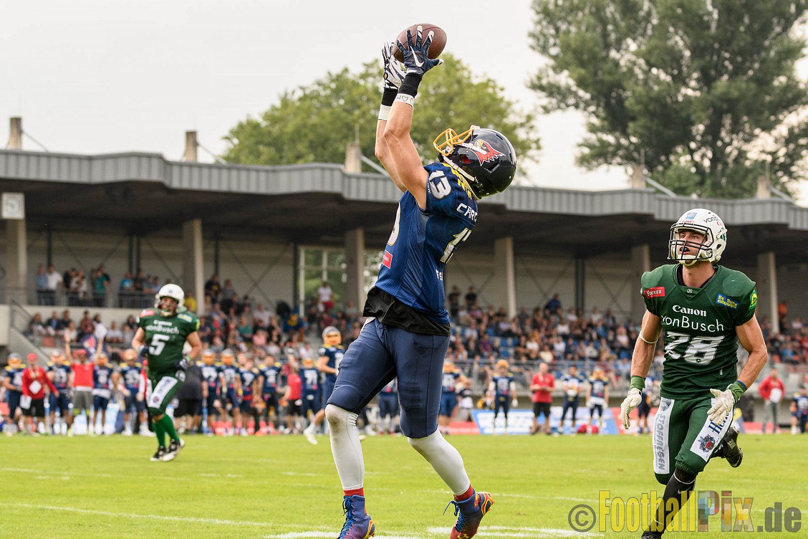 Essen Assindia Cardinals vs. Bielefeld Bulldogs - 13.08.2016 GFL2: Essen Assindia Cardinals vs. Bielefeld Bulldogs (49:6)