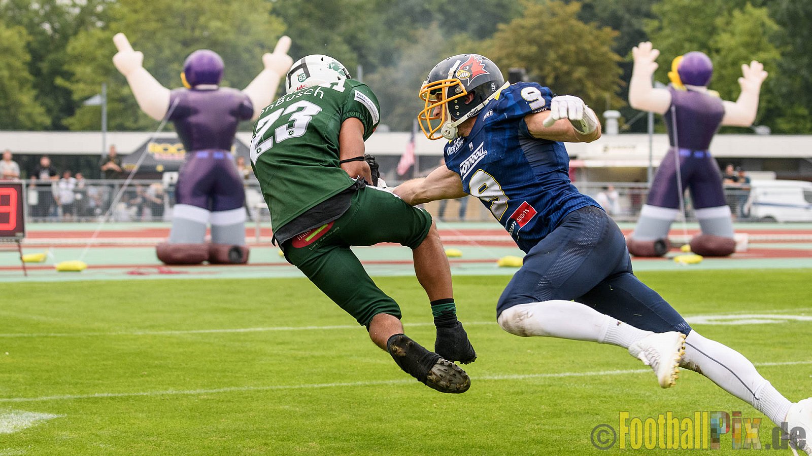 Essen Assindia Cardinals vs. Bielefeld Bulldogs - 13.08.2016 GFL2: Essen Assindia Cardinals vs. Bielefeld Bulldogs (49:6)