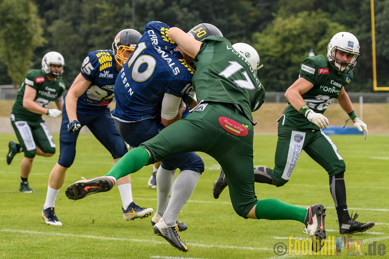 Essen Assindia Cardinals vs. Bielefeld Bulldogs - 13.08.2016 GFL2: Essen Assindia Cardinals vs. Bielefeld Bulldogs (49:6)