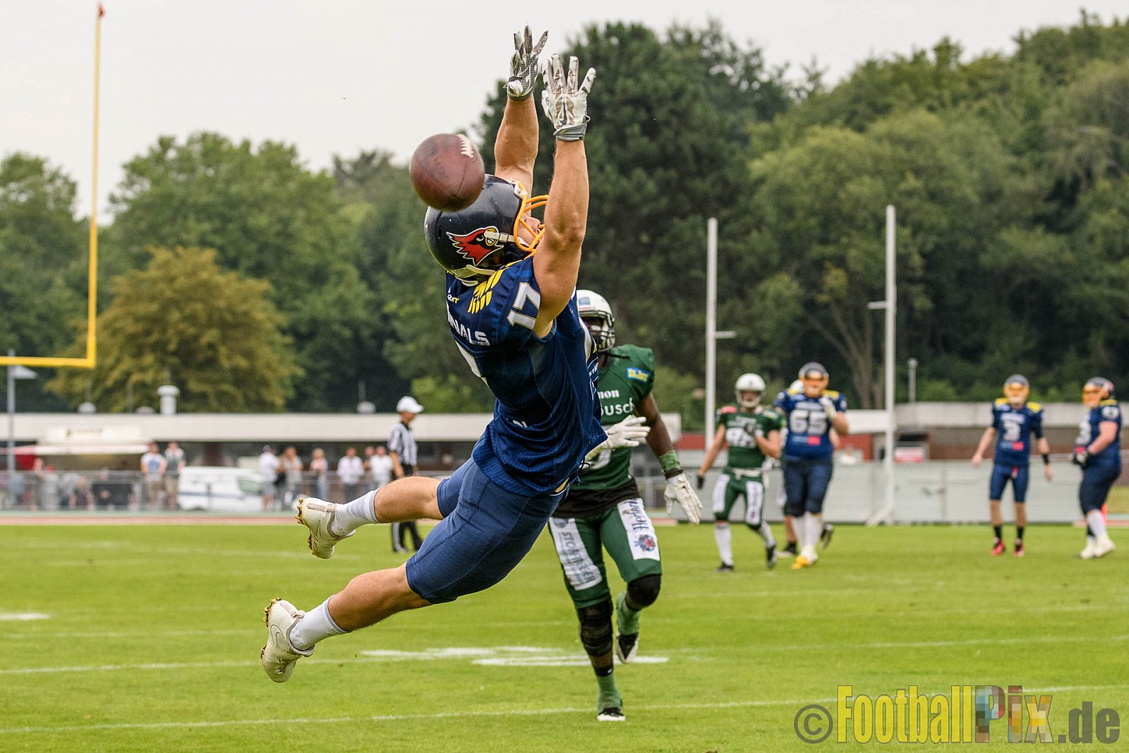 Essen Assindia Cardinals vs. Bielefeld Bulldogs - 13.08.2016 GFL2: Essen Assindia Cardinals vs. Bielefeld Bulldogs (49:6)