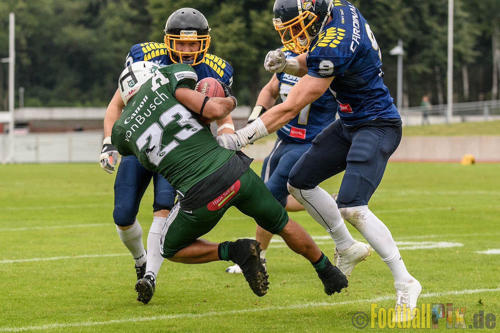 Essen Assindia Cardinals vs. Bielefeld Bulldogs - 13.08.2016 GFL2: Essen Assindia Cardinals vs. Bielefeld Bulldogs (49:6)