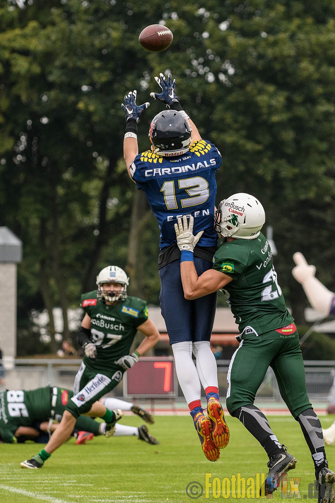 Essen Assindia Cardinals vs. Bielefeld Bulldogs - 13.08.2016 GFL2: Essen Assindia Cardinals vs. Bielefeld Bulldogs (49:6)