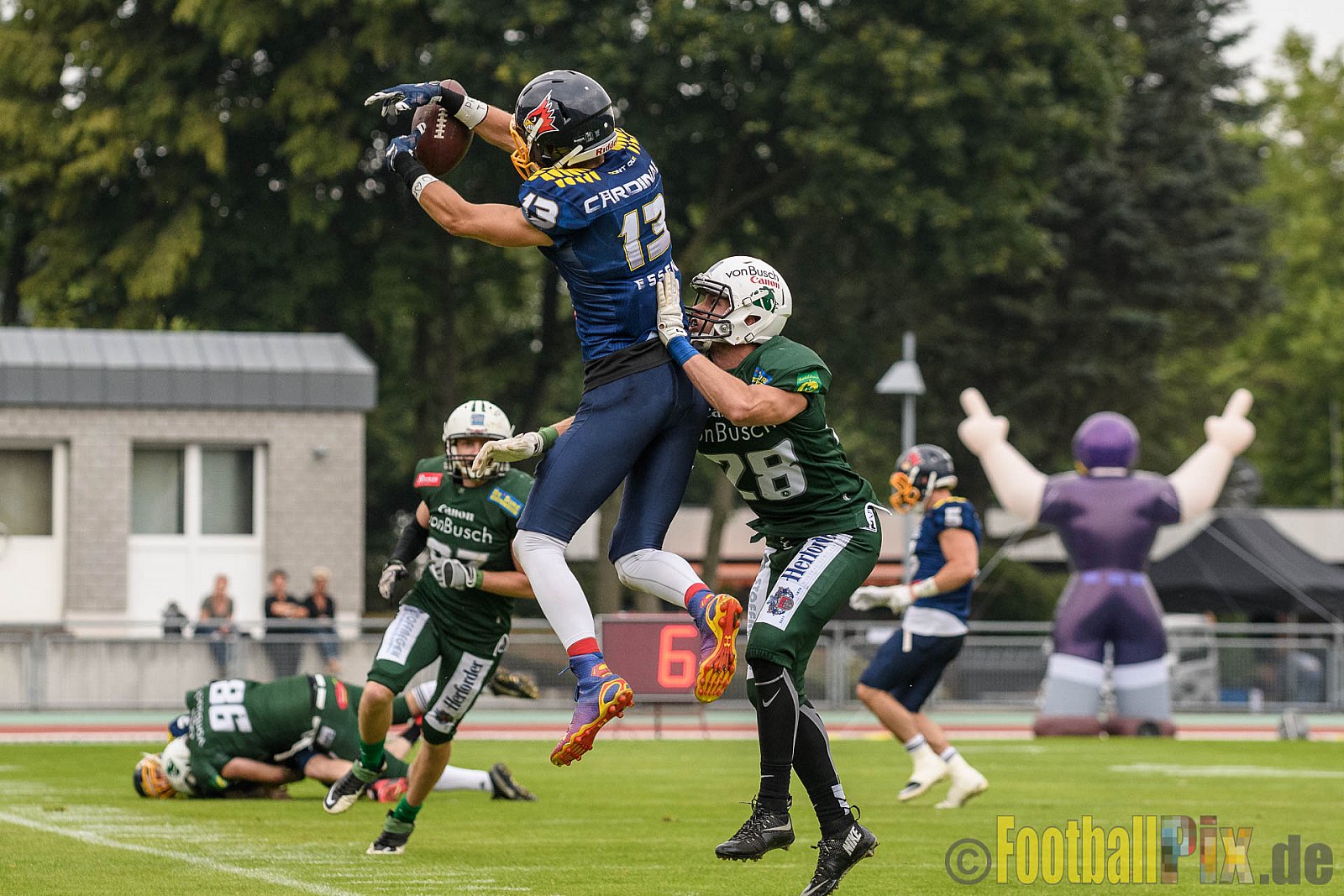 Essen Assindia Cardinals vs. Bielefeld Bulldogs - 13.08.2016 GFL2: Essen Assindia Cardinals vs. Bielefeld Bulldogs (49:6)