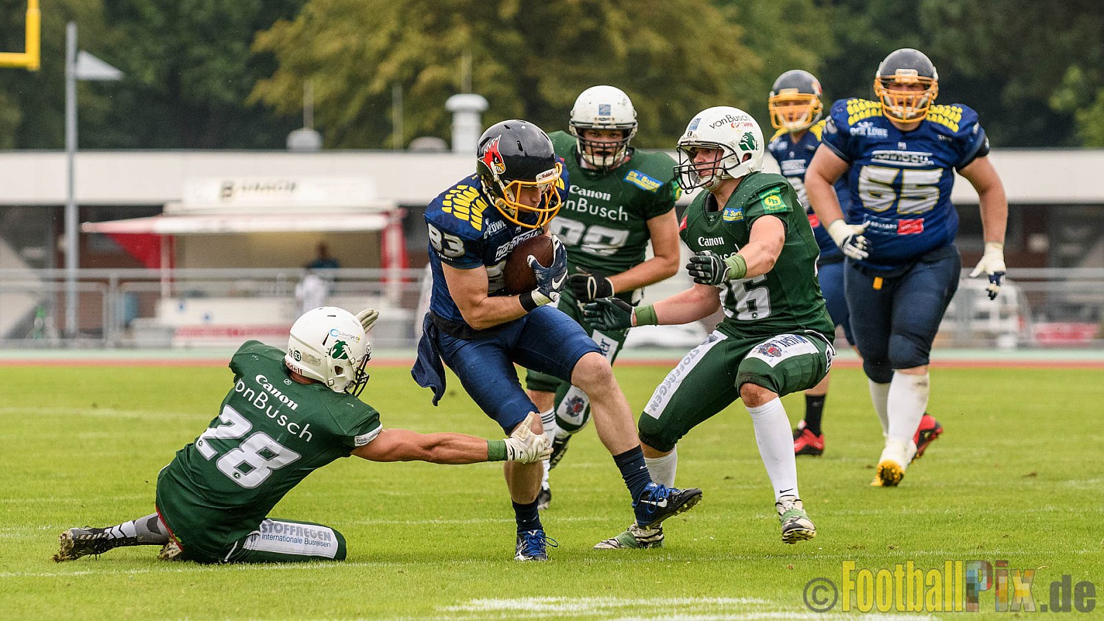Essen Assindia Cardinals vs. Bielefeld Bulldogs - 13.08.2016 GFL2: Essen Assindia Cardinals vs. Bielefeld Bulldogs (49:6)