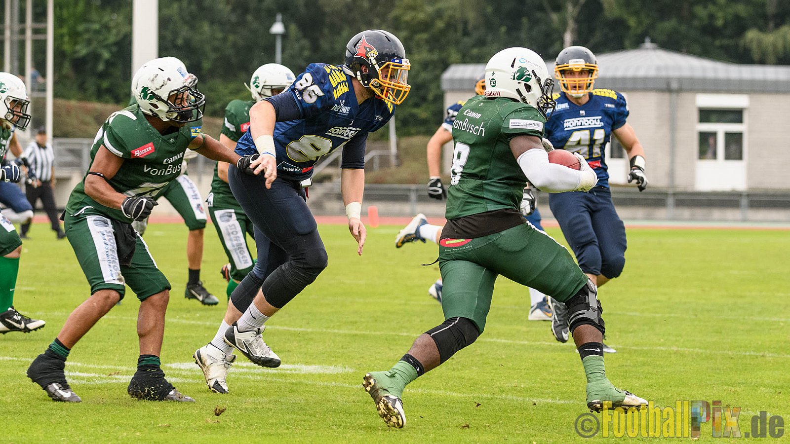 Essen Assindia Cardinals vs. Bielefeld Bulldogs - 13.08.2016 GFL2: Essen Assindia Cardinals vs. Bielefeld Bulldogs (49:6)