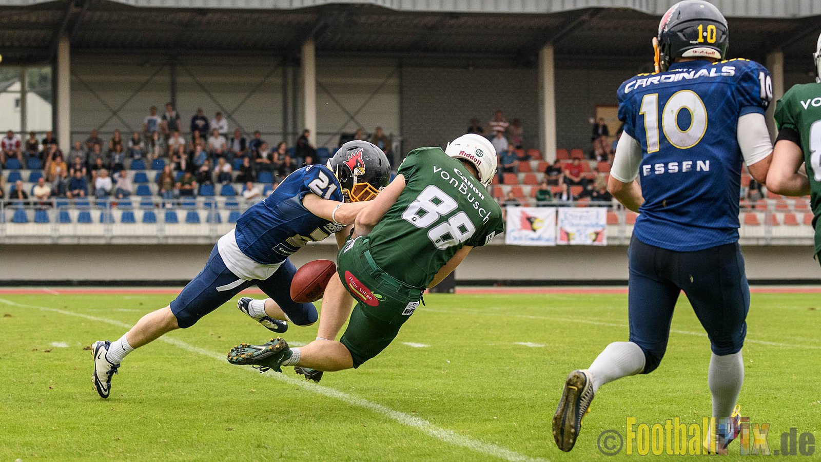 Essen Assindia Cardinals vs. Bielefeld Bulldogs - 13.08.2016 GFL2: Essen Assindia Cardinals vs. Bielefeld Bulldogs (49:6)