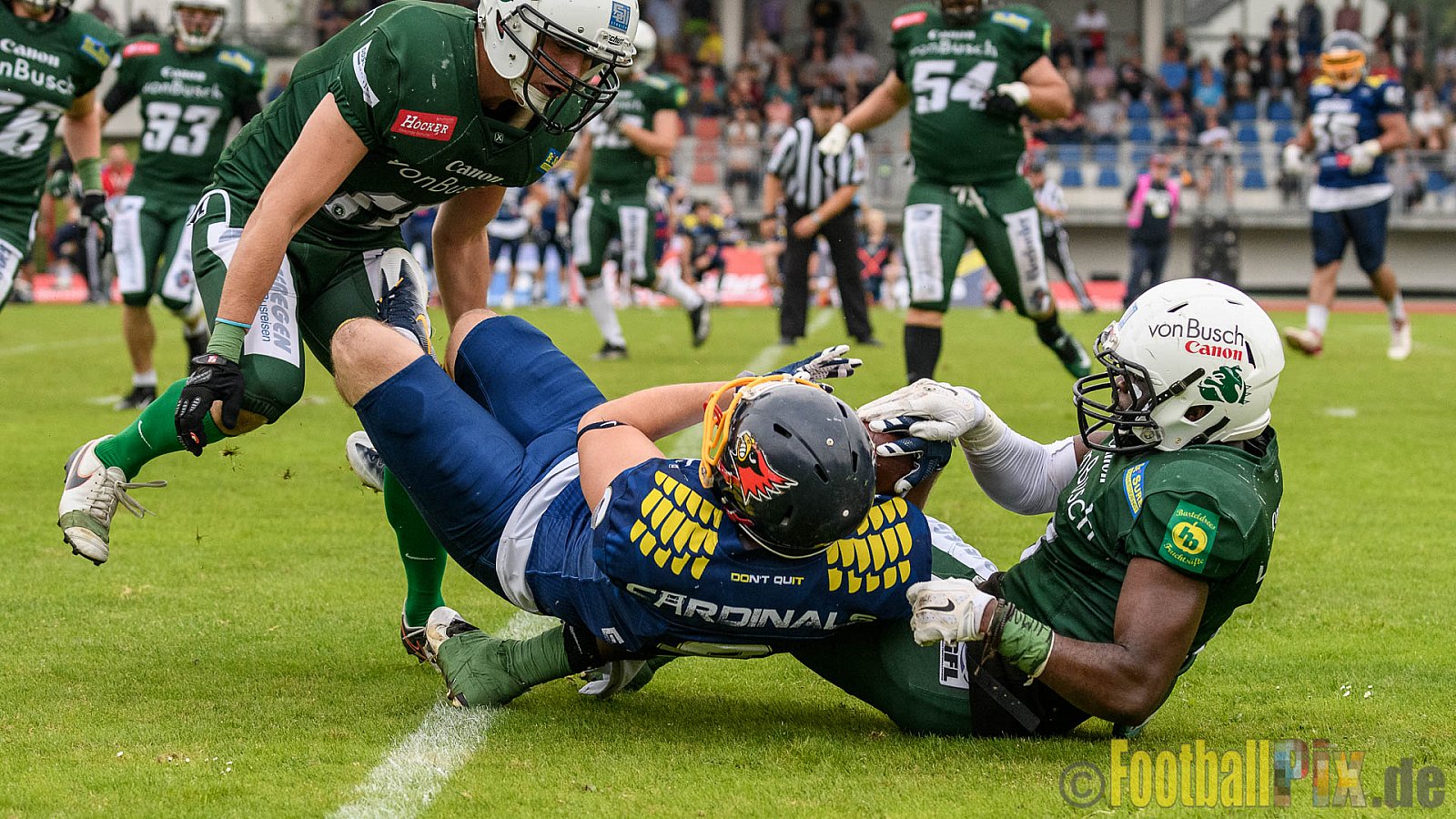 Essen Assindia Cardinals vs. Bielefeld Bulldogs - 13.08.2016 GFL2: Essen Assindia Cardinals vs. Bielefeld Bulldogs (49:6)