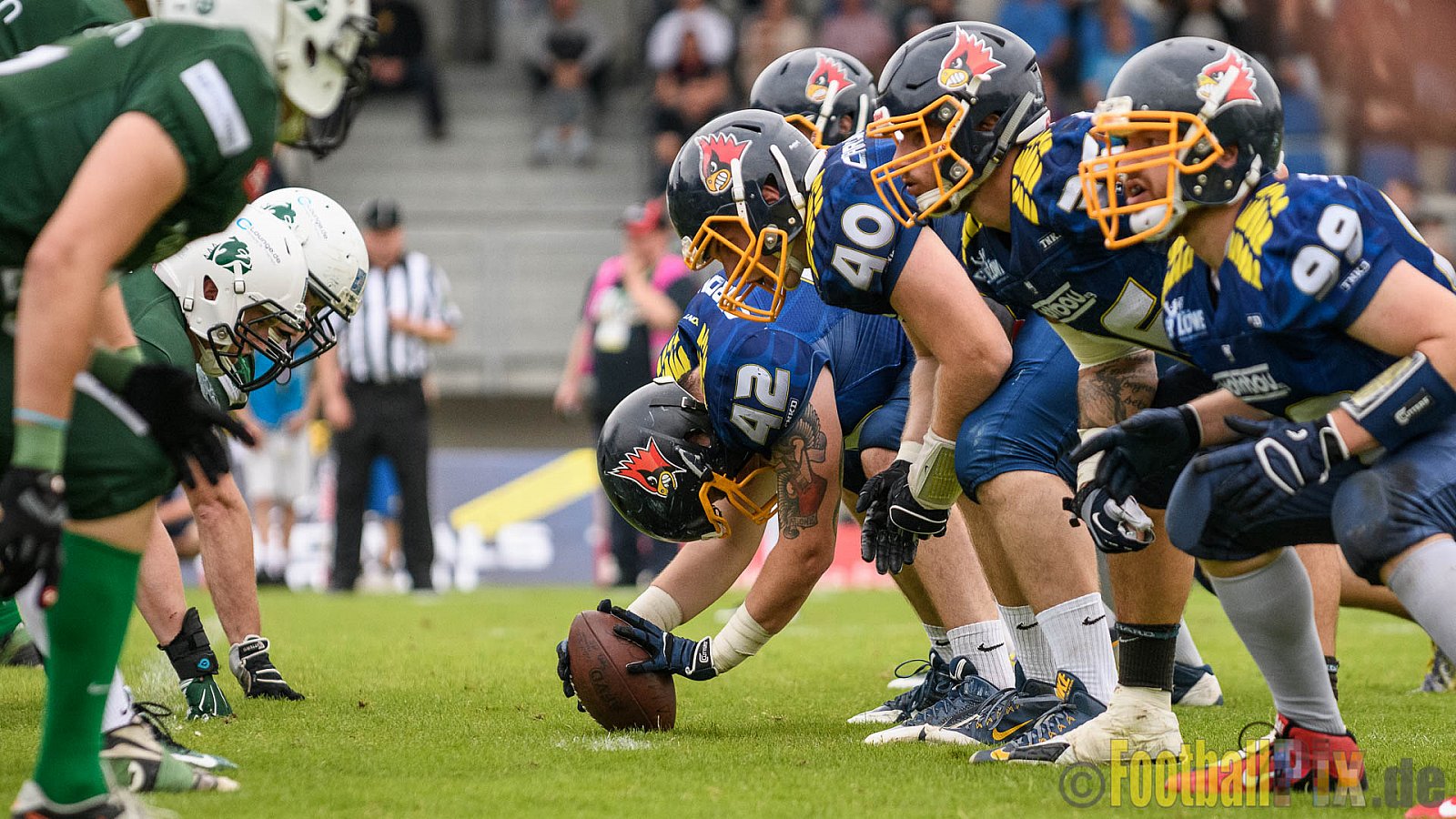 Essen Assindia Cardinals vs. Bielefeld Bulldogs - 13.08.2016 GFL2: Essen Assindia Cardinals vs. Bielefeld Bulldogs (49:6)