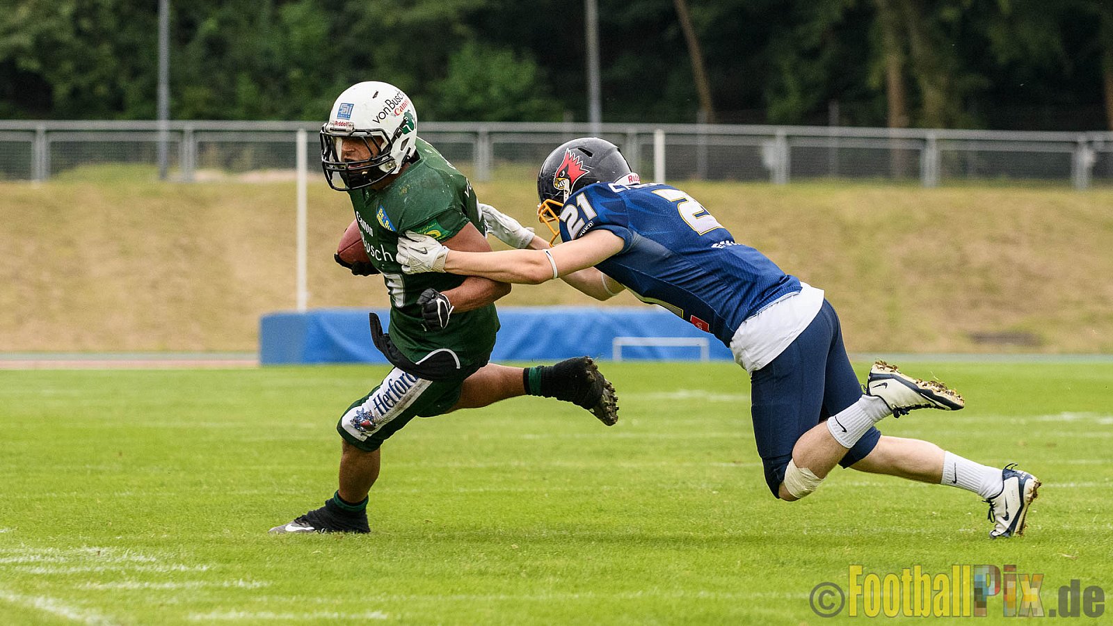 Essen Assindia Cardinals vs. Bielefeld Bulldogs - 13.08.2016 GFL2: Essen Assindia Cardinals vs. Bielefeld Bulldogs (49:6)