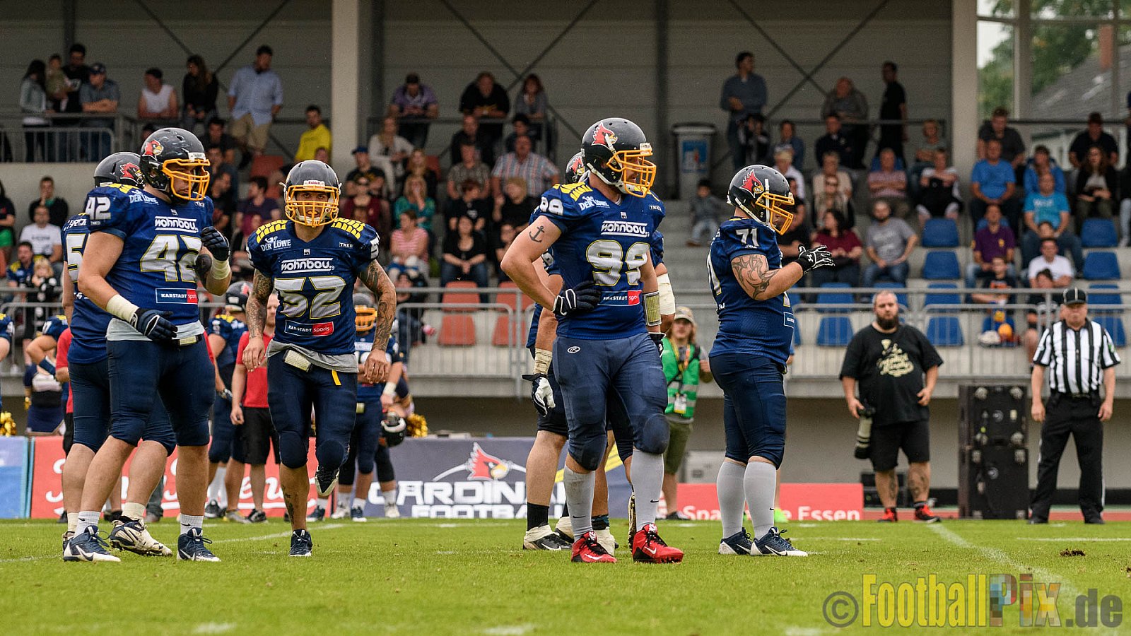 Essen Assindia Cardinals vs. Bielefeld Bulldogs - 13.08.2016 GFL2: Essen Assindia Cardinals vs. Bielefeld Bulldogs (49:6)