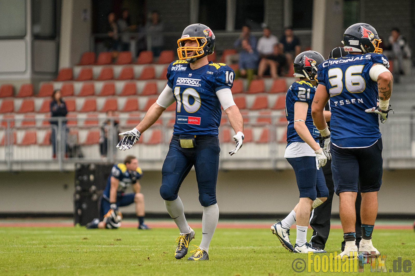 Essen Assindia Cardinals vs. Bielefeld Bulldogs - 13.08.2016 GFL2: Essen Assindia Cardinals vs. Bielefeld Bulldogs (49:6)