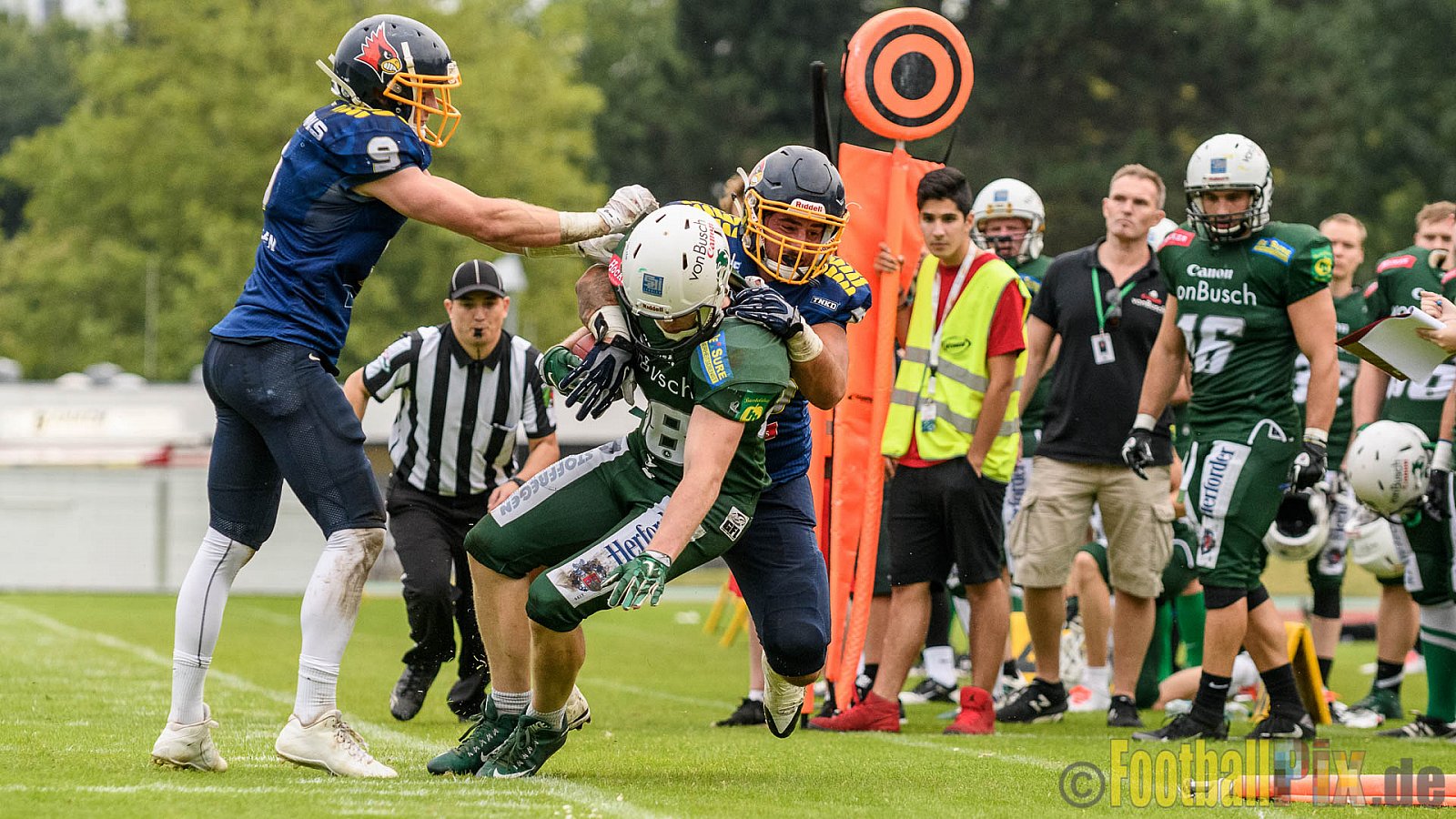 Essen Assindia Cardinals vs. Bielefeld Bulldogs - 13.08.2016 GFL2: Essen Assindia Cardinals vs. Bielefeld Bulldogs (49:6)