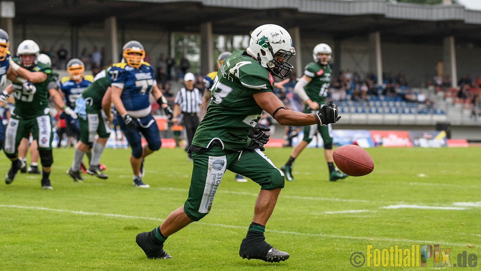 Essen Assindia Cardinals vs. Bielefeld Bulldogs - 13.08.2016 GFL2: Essen Assindia Cardinals vs. Bielefeld Bulldogs (49:6)