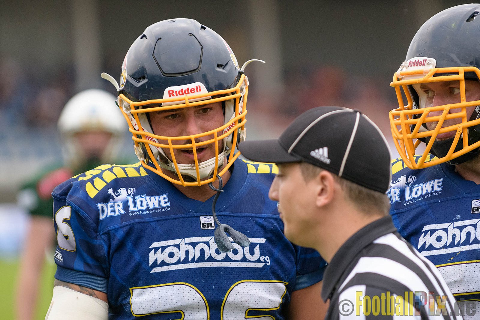 Essen Assindia Cardinals vs. Bielefeld Bulldogs - 13.08.2016 GFL2: Essen Assindia Cardinals vs. Bielefeld Bulldogs (49:6)