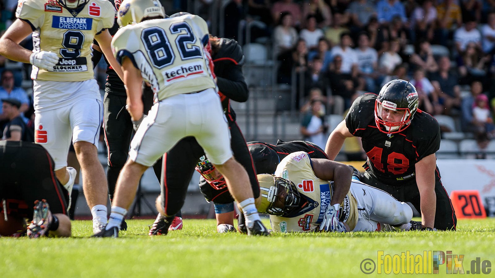 Düsseldorf Panther vs. Dresden Monarchs - 20.08.2016 GFL Nord: Düsseldorf Panther vs. Dresden Monarchs (16:69)