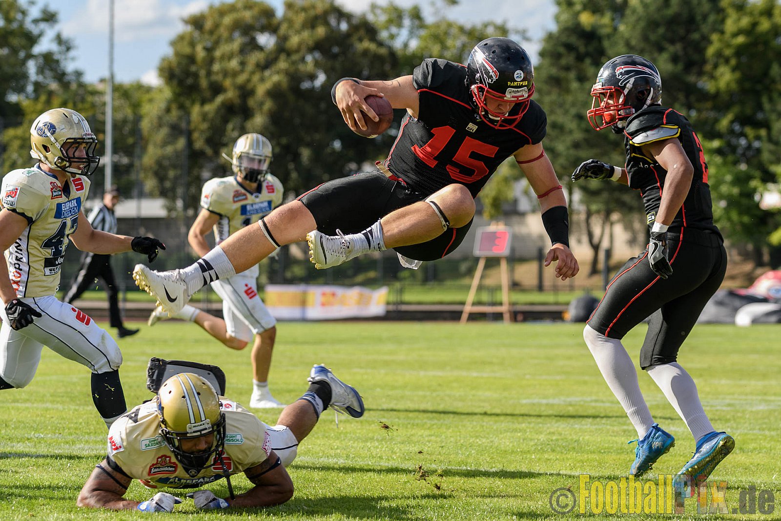 Düsseldorf Panther vs. Dresden Monarchs - 20.08.2016 GFL Nord: Düsseldorf Panther vs. Dresden Monarchs (16:69)